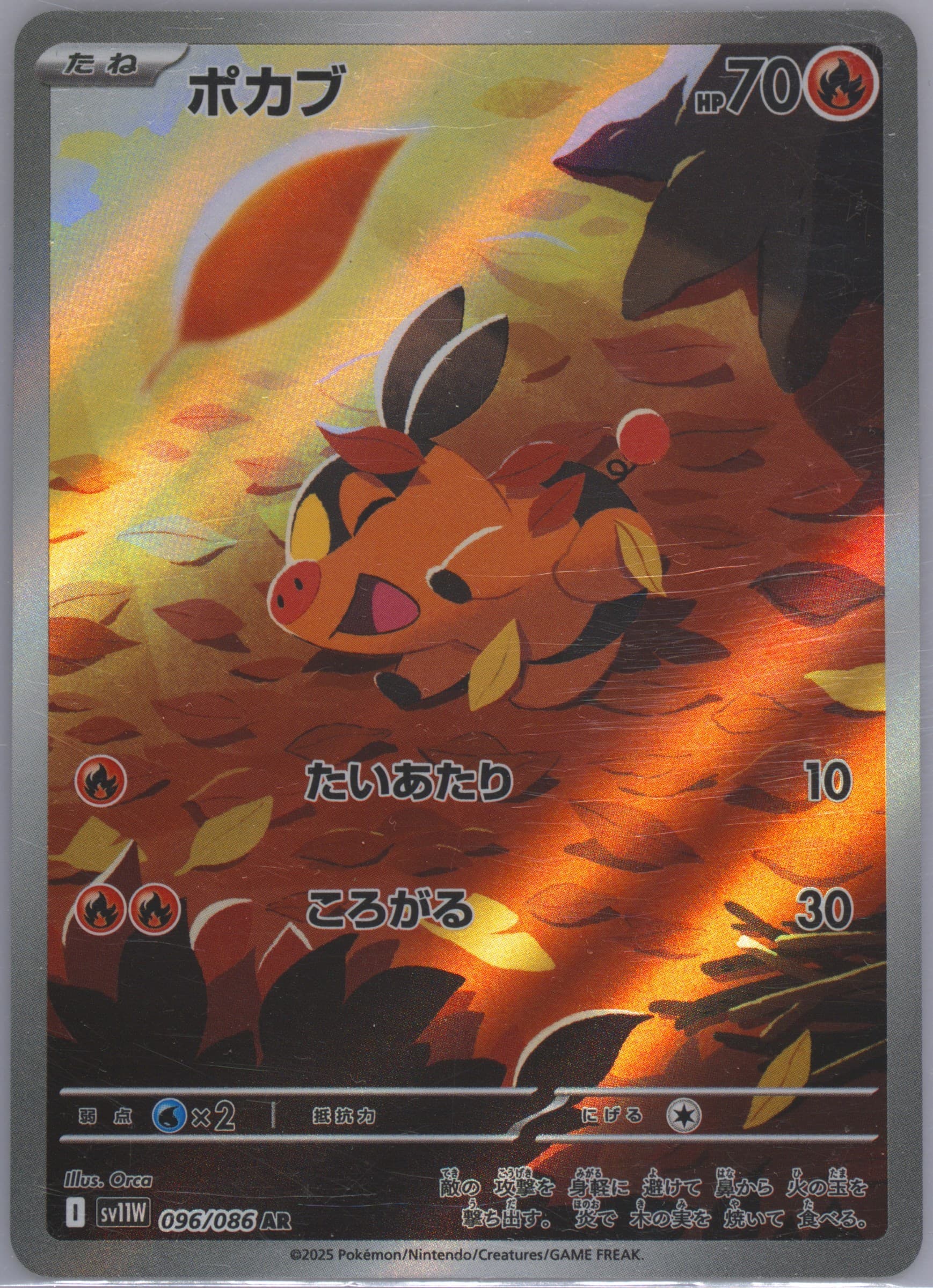 Tepig Art Rare (096) 2025 Pokemon Japanese Sv11w-White Flare