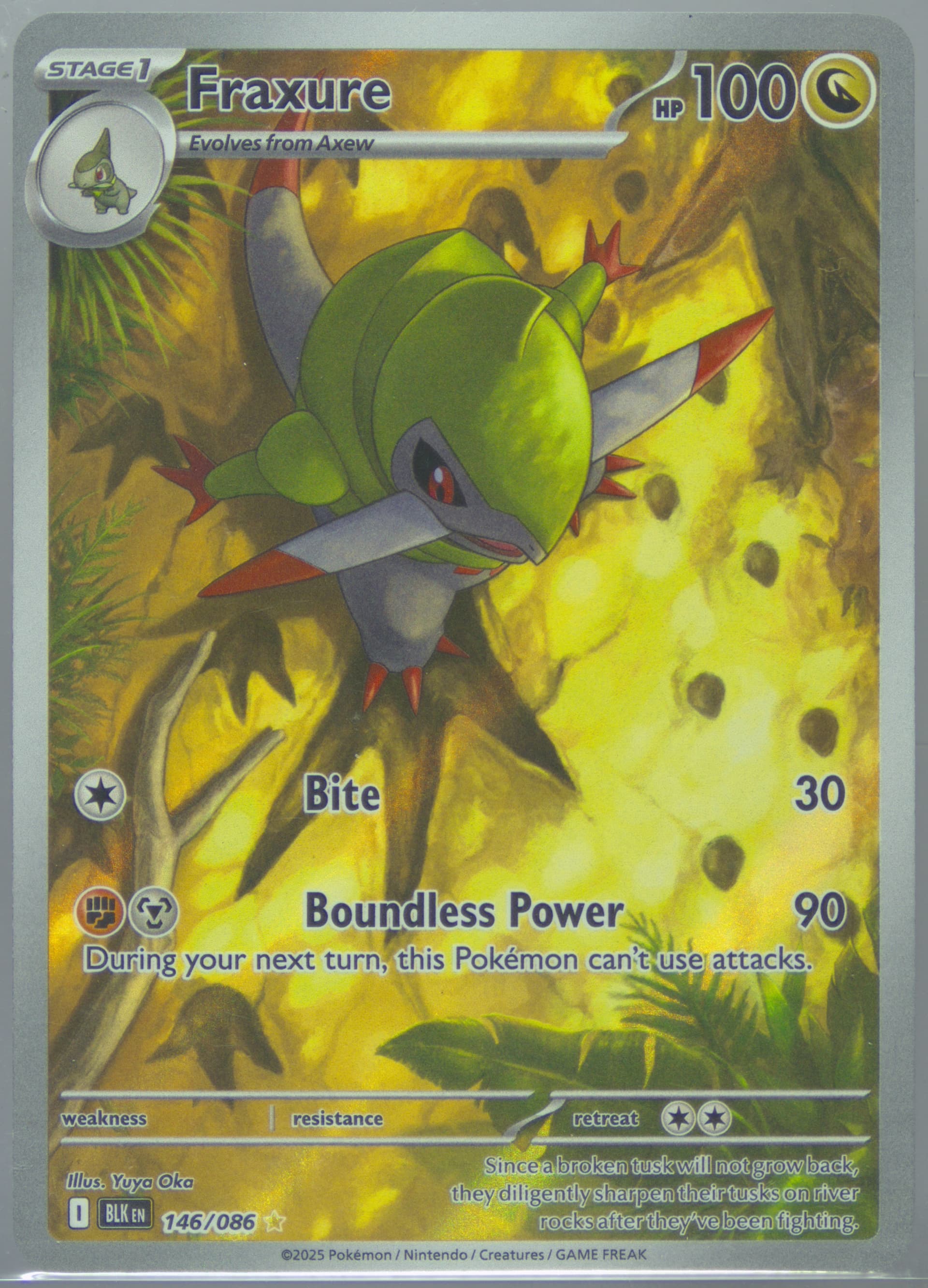 Fraxure Illustration Rare (146) 2025 Pokemon Blk EN-Black Bolt