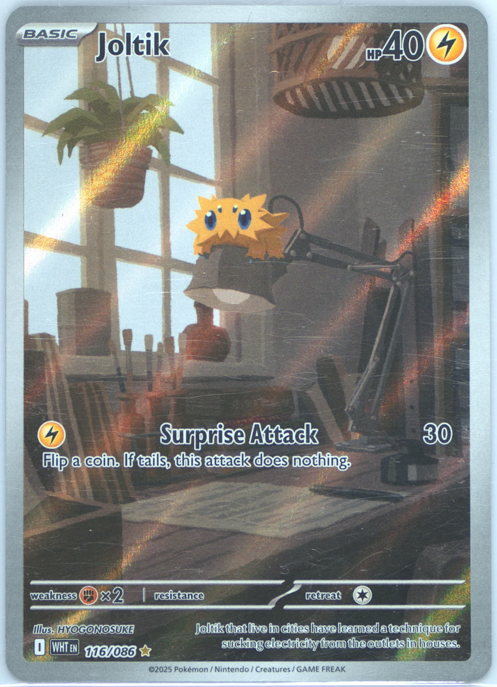 Joltik Illustration Rare (116) 2025 Pokemon Wht EN-White Flare