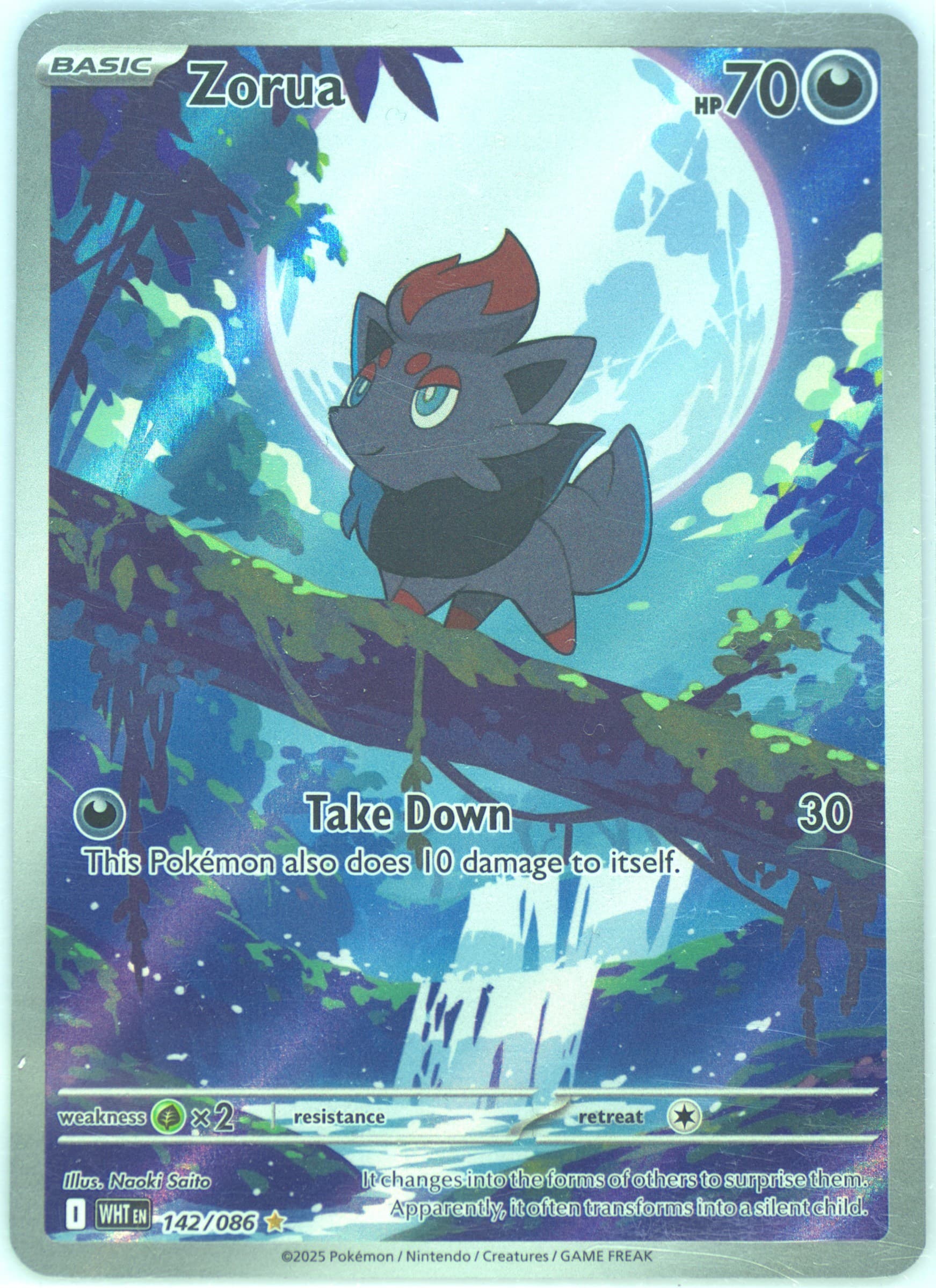 Zorua Illustration Rare (142) 2025 Pokemon Wht EN-White Flare