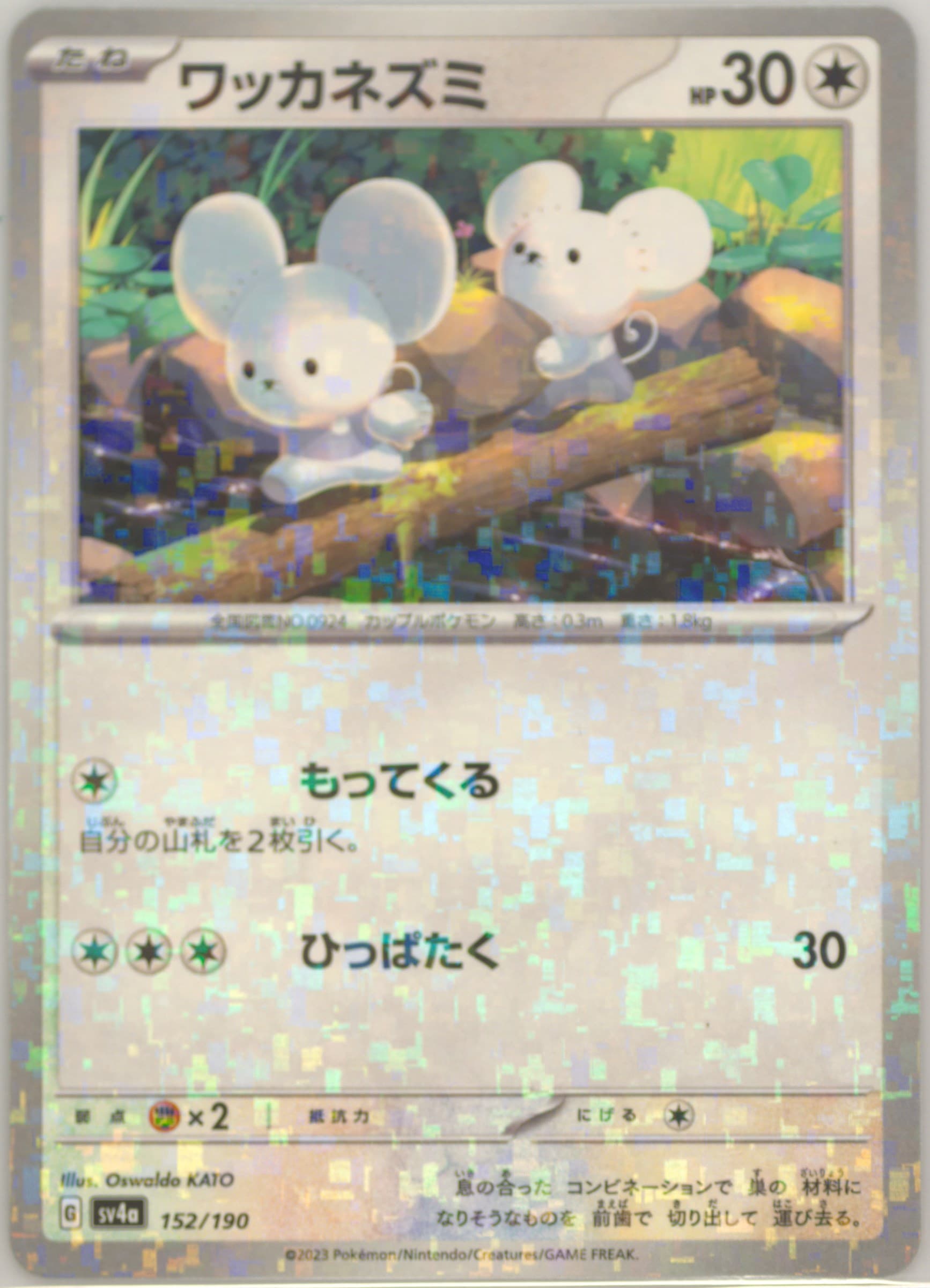 Tandemaus (152) 2023 Pokemon Japanese Sv4a-Shiny Treasure EX