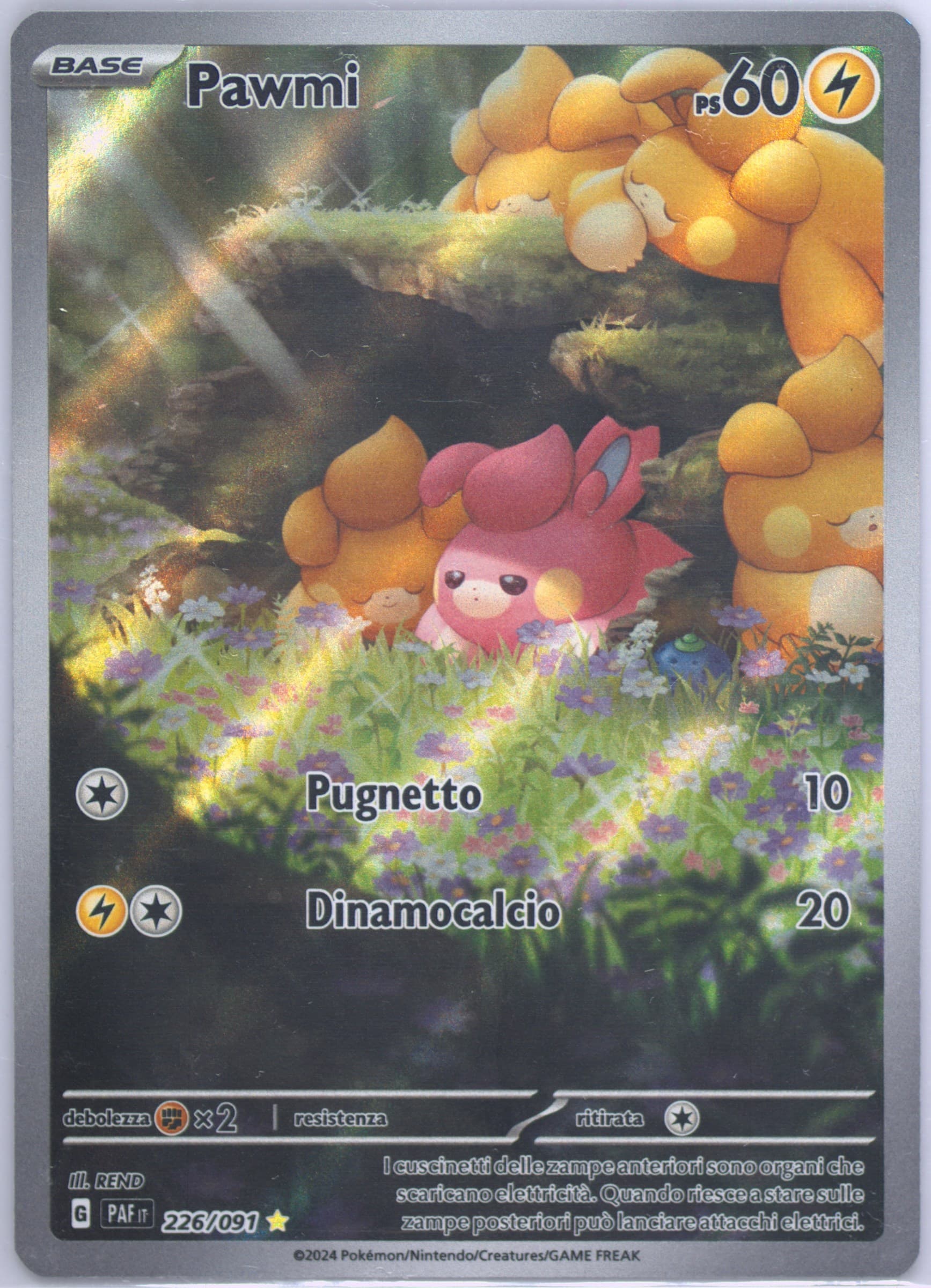 Pawmi Illustration Rare (226) 2024 Pokemon Italian Paf It-Paldean Fates
