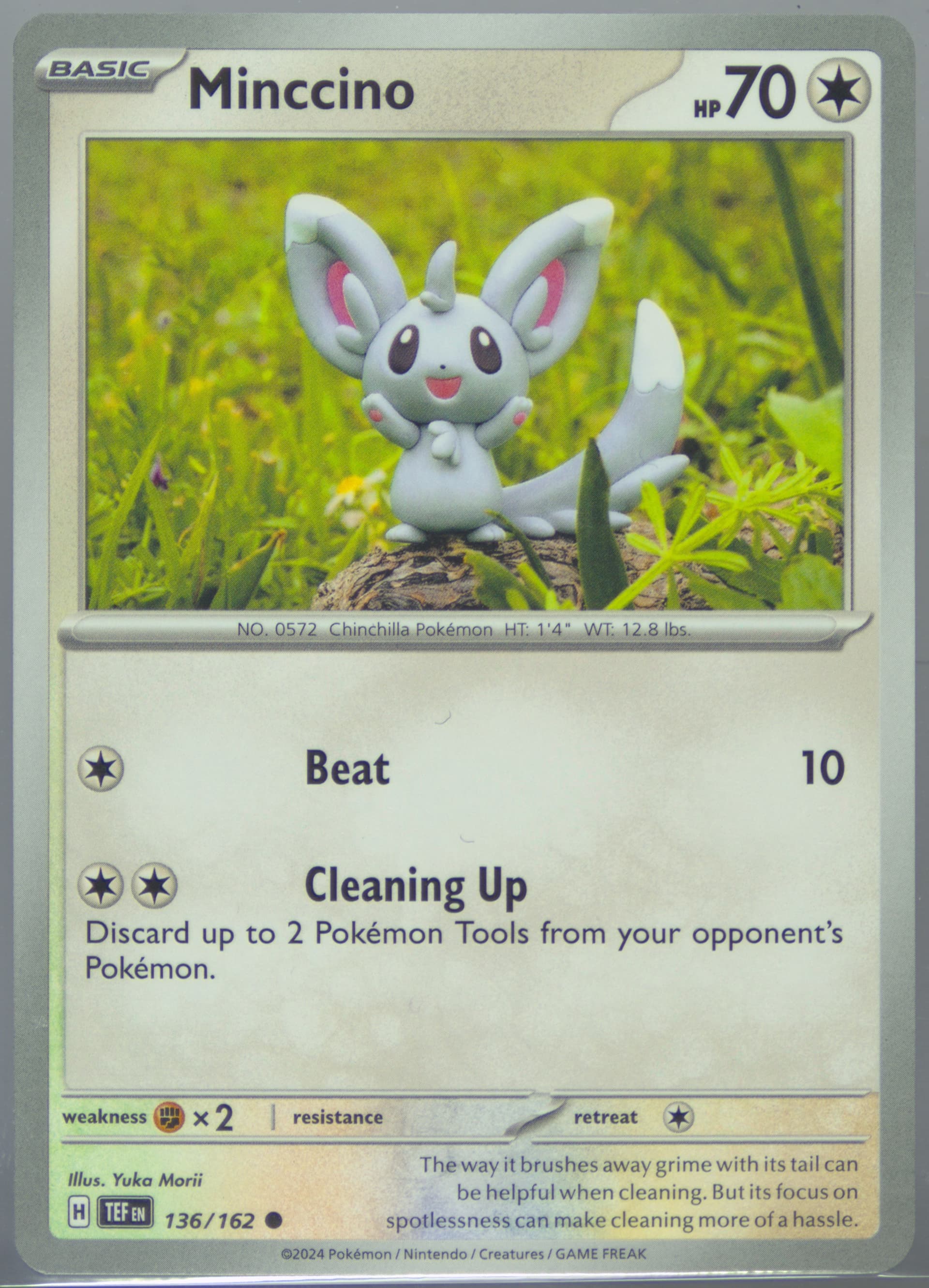 Minccino (136) 2024 Pokemon Tef EN-Temporal Forces