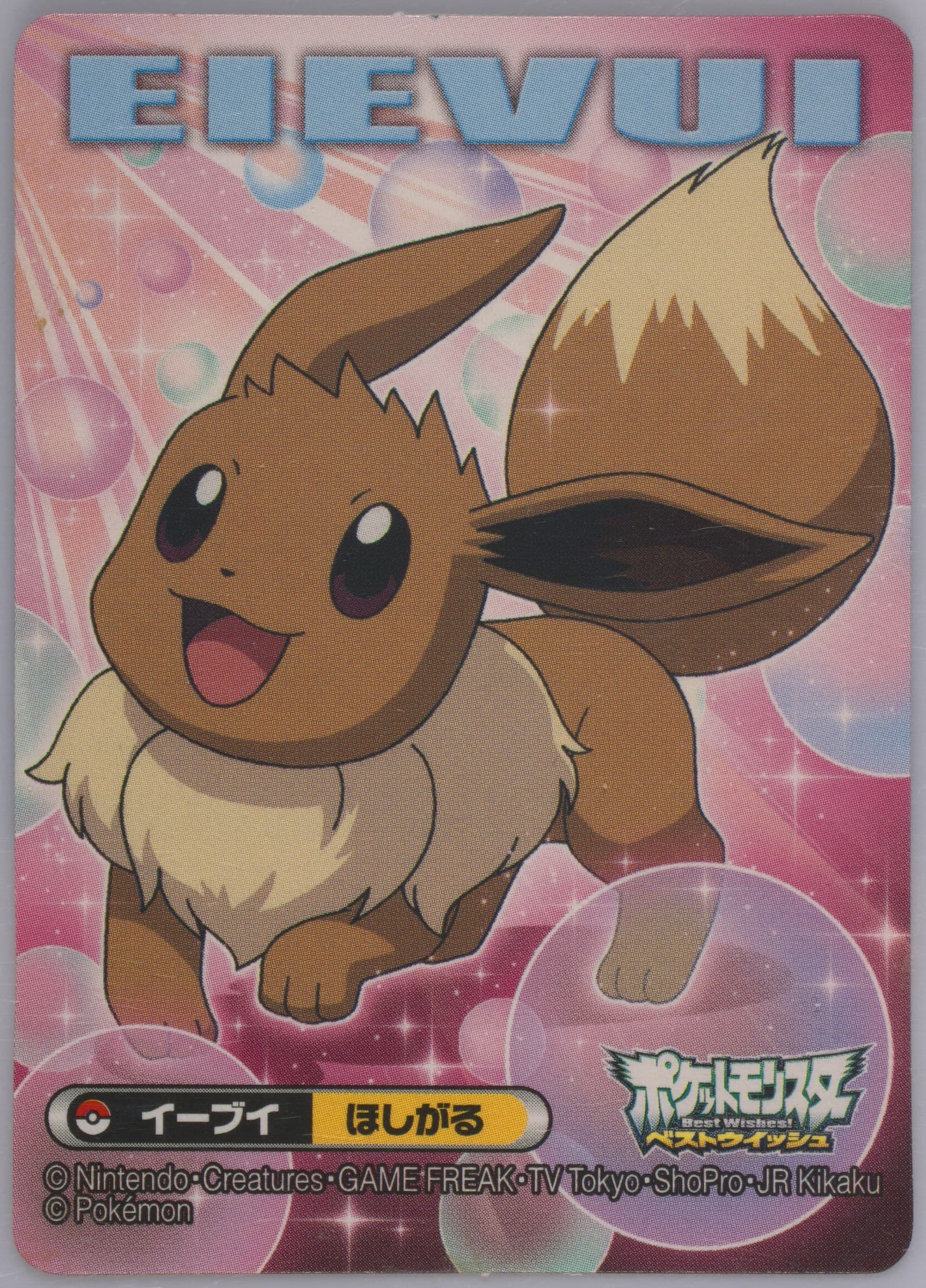Eevee (031) 2013 Kimewaza Pokemon Kids Black and White 5