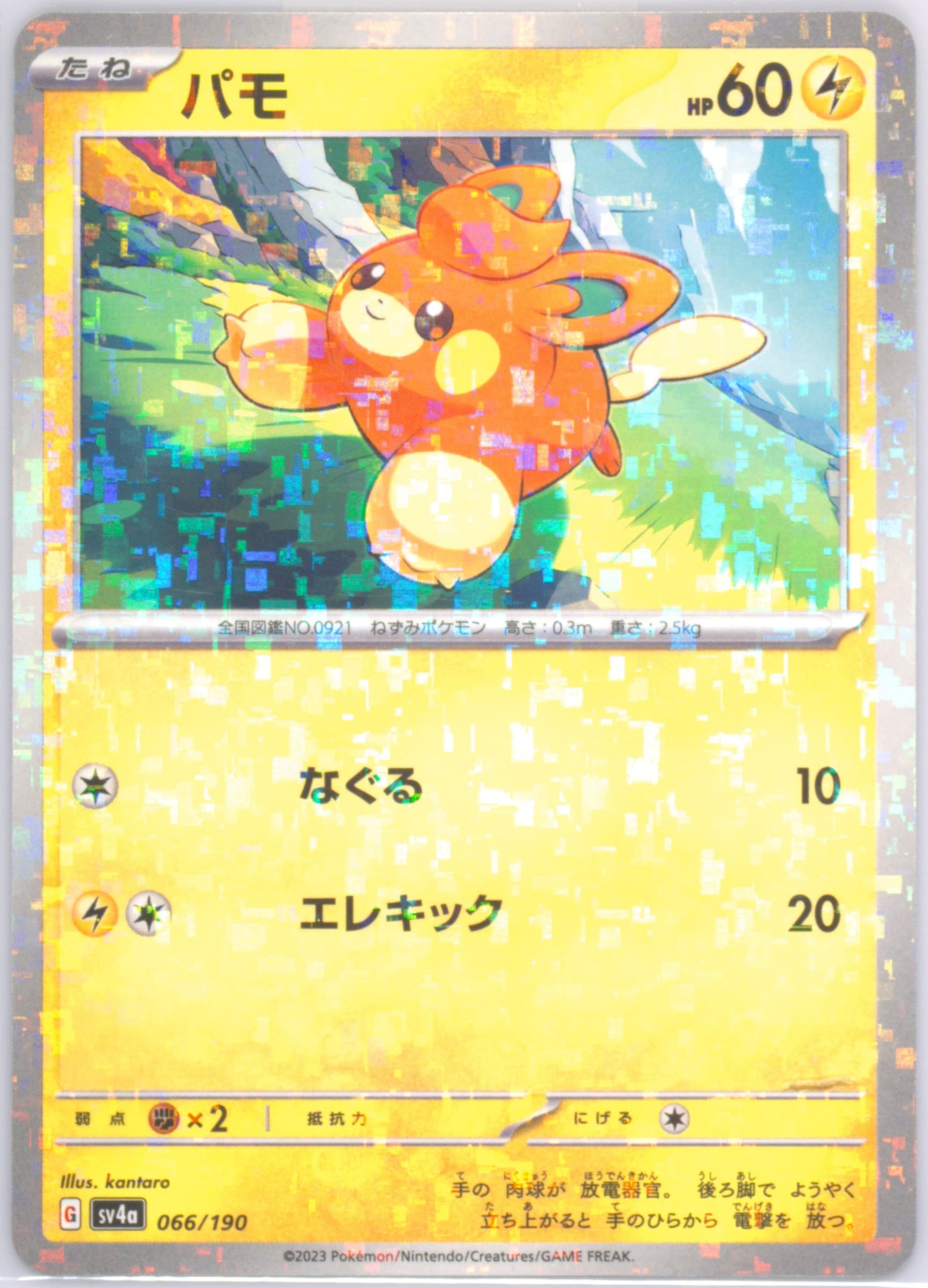 Pawmi Reverse Holo (066) 2023 Pokemon Japanese Sv4a-Shiny Treasure EX