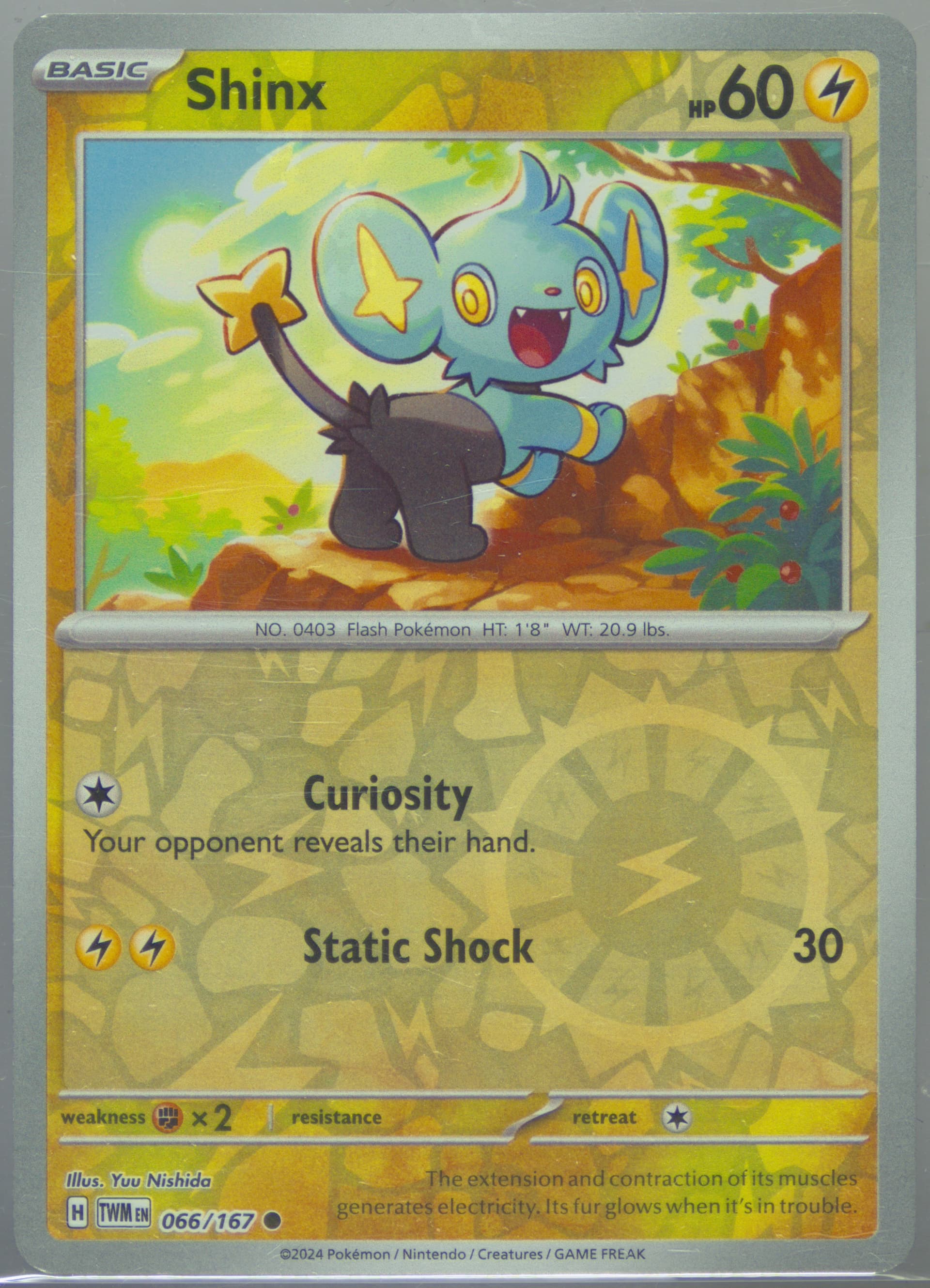 Shinx Reverse Holo (066) 2024 Pokemon Twm EN-Twilight Masquerade