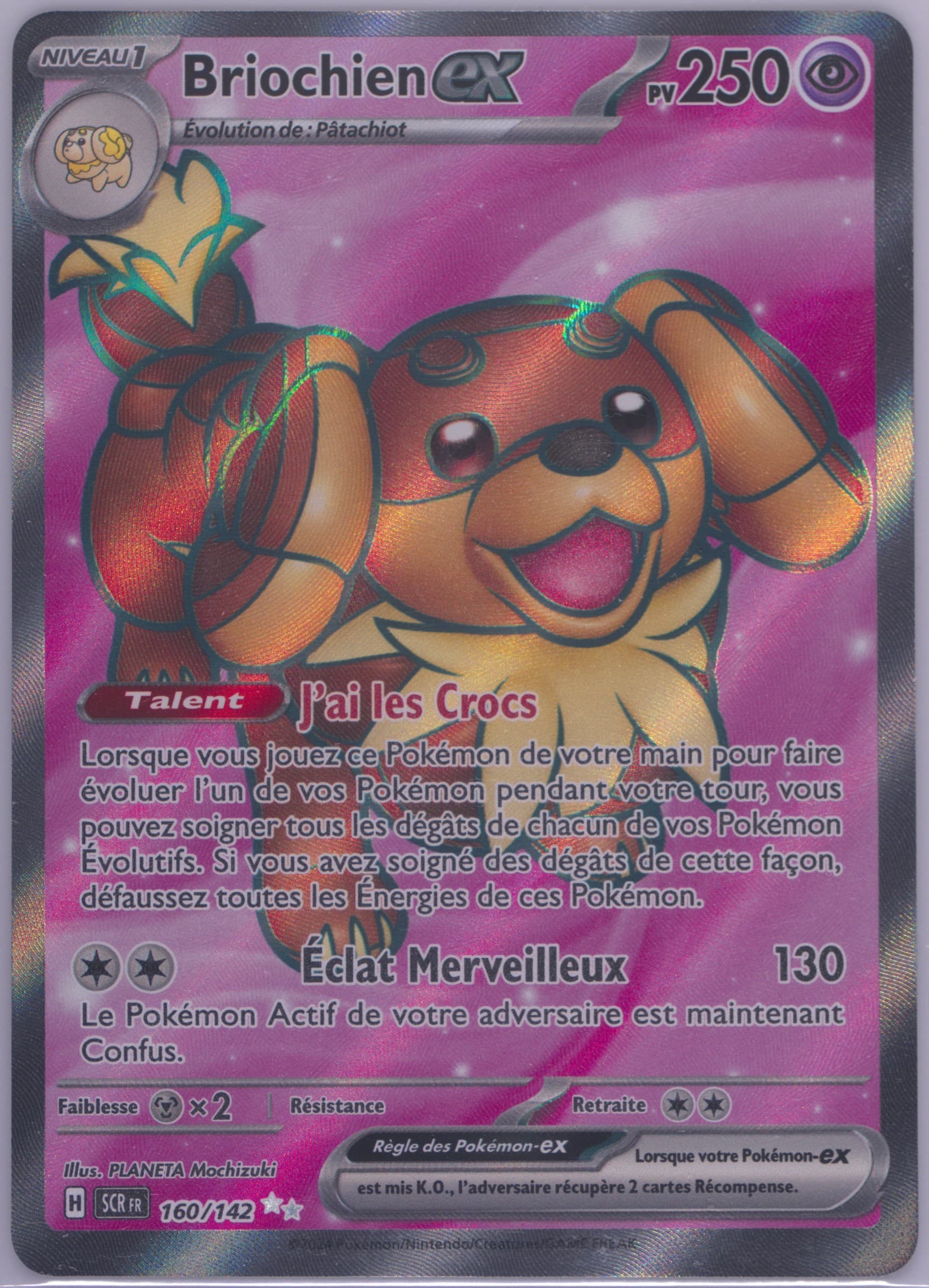 Dachsbun EX Ultra Rare (160) 2024 Pokemon French Scr FR-Stellar Crown