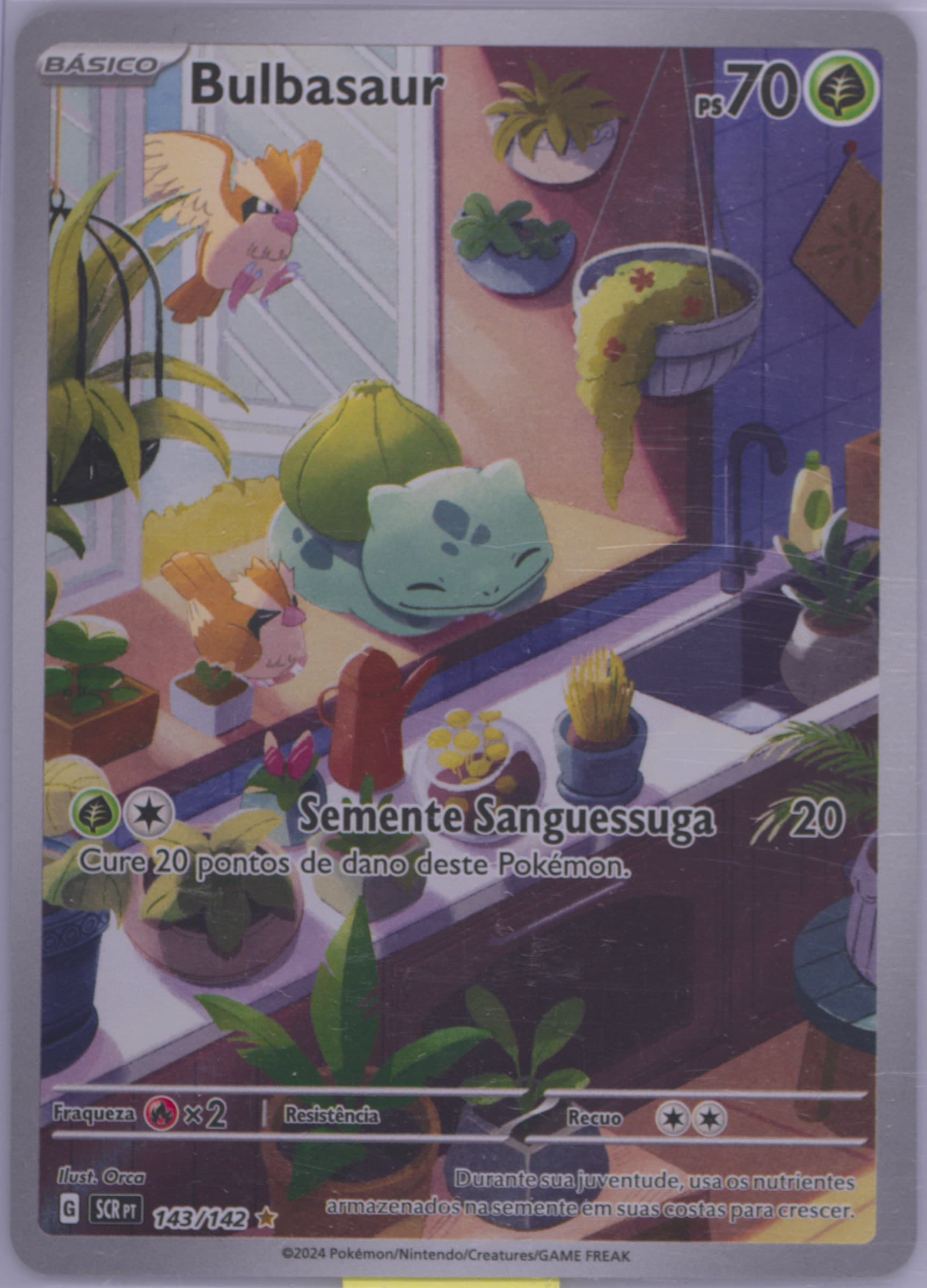 Bulbasaur Illustration Rare (143) 2024 Pokemon Portuguese Scr PT-Stellar Crown