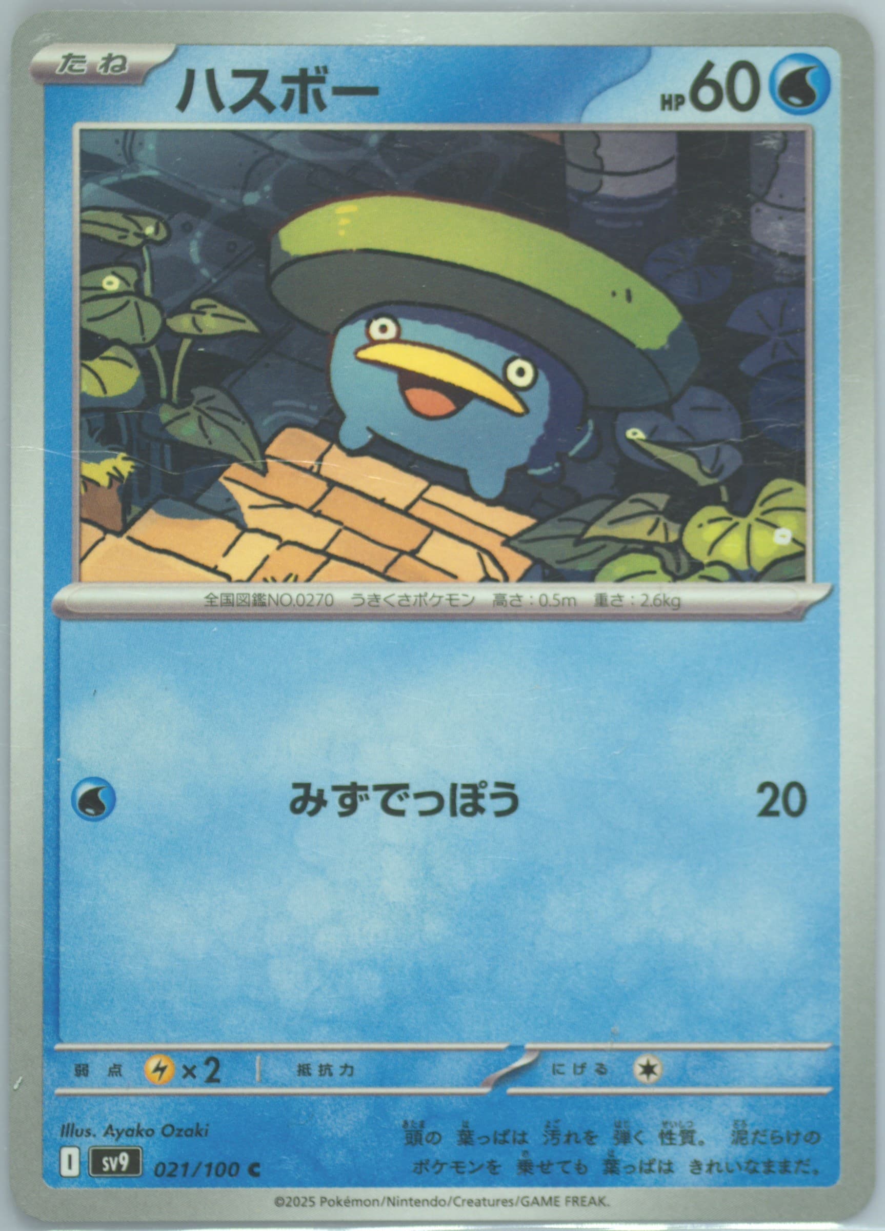 Lotad (021) 2025 Pokemon Japanese SV9-Battle Partners