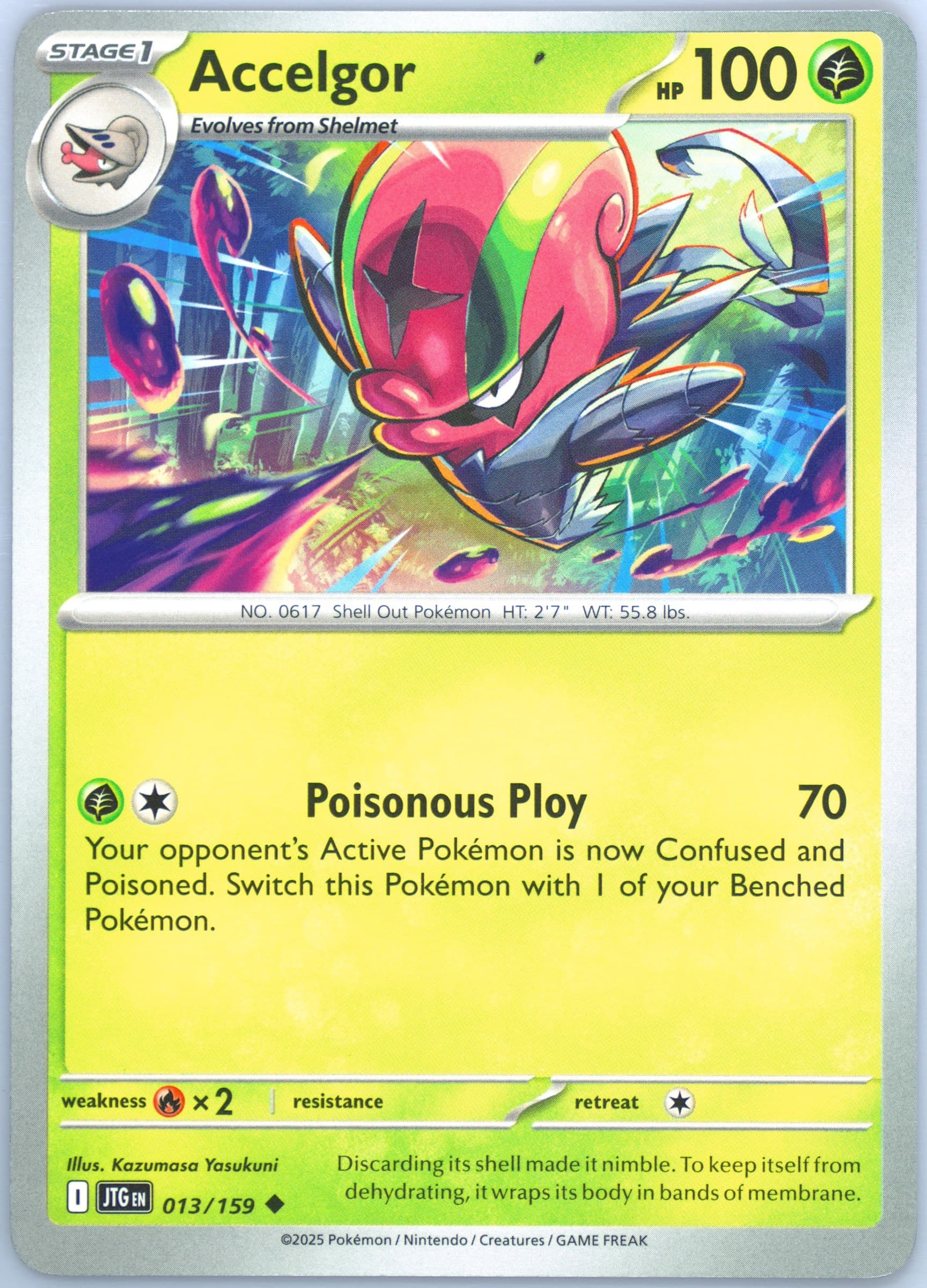 Accelgor (013) 2025 Pokemon Jtg EN-Journey Together