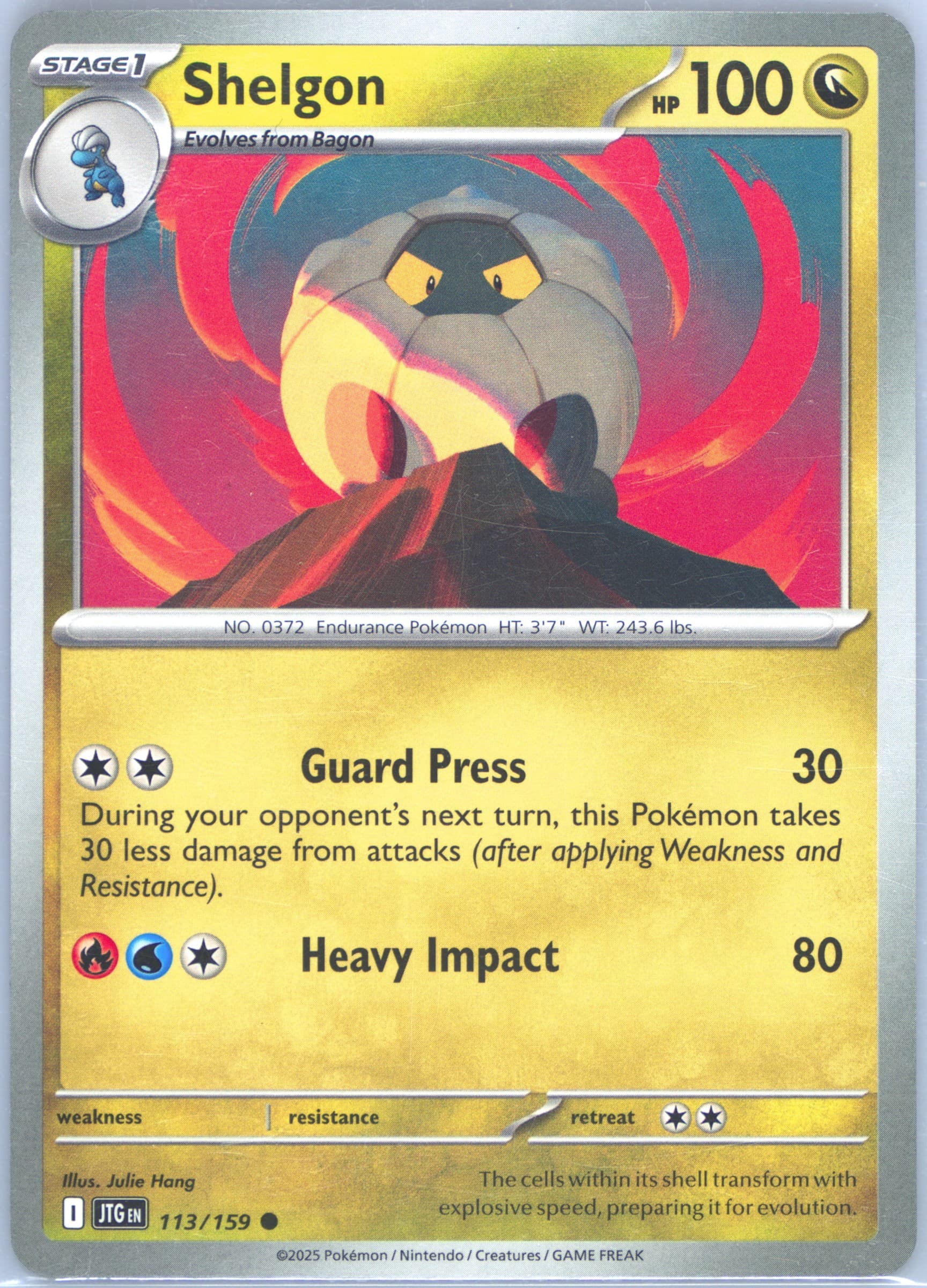 Shelgon (113) 2025 Pokemon Jtg EN-Journey Together