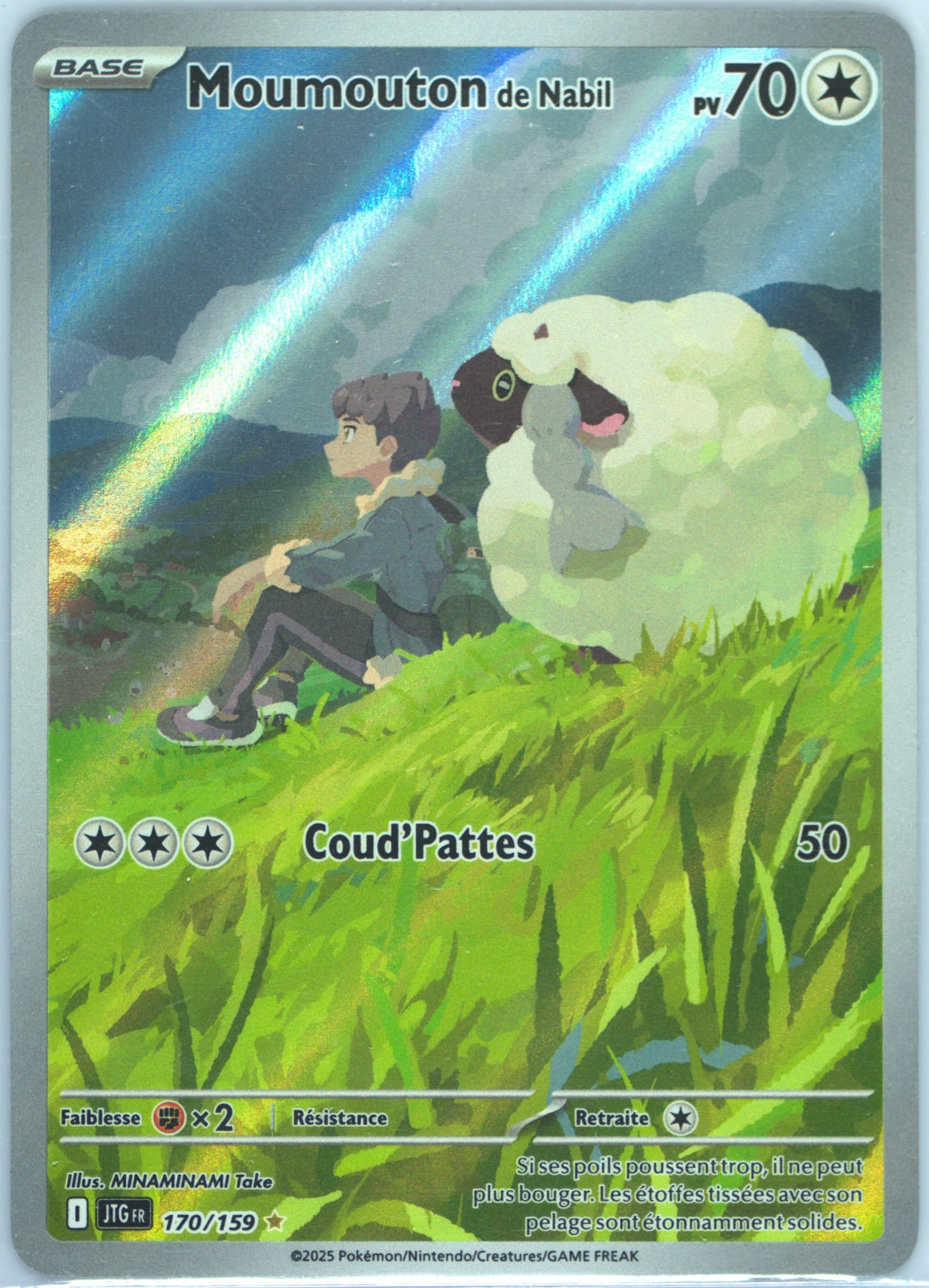 Hop's Wooloo Illustration Rare (170) 2025 Pokemon French Jtg FR-Journey Together