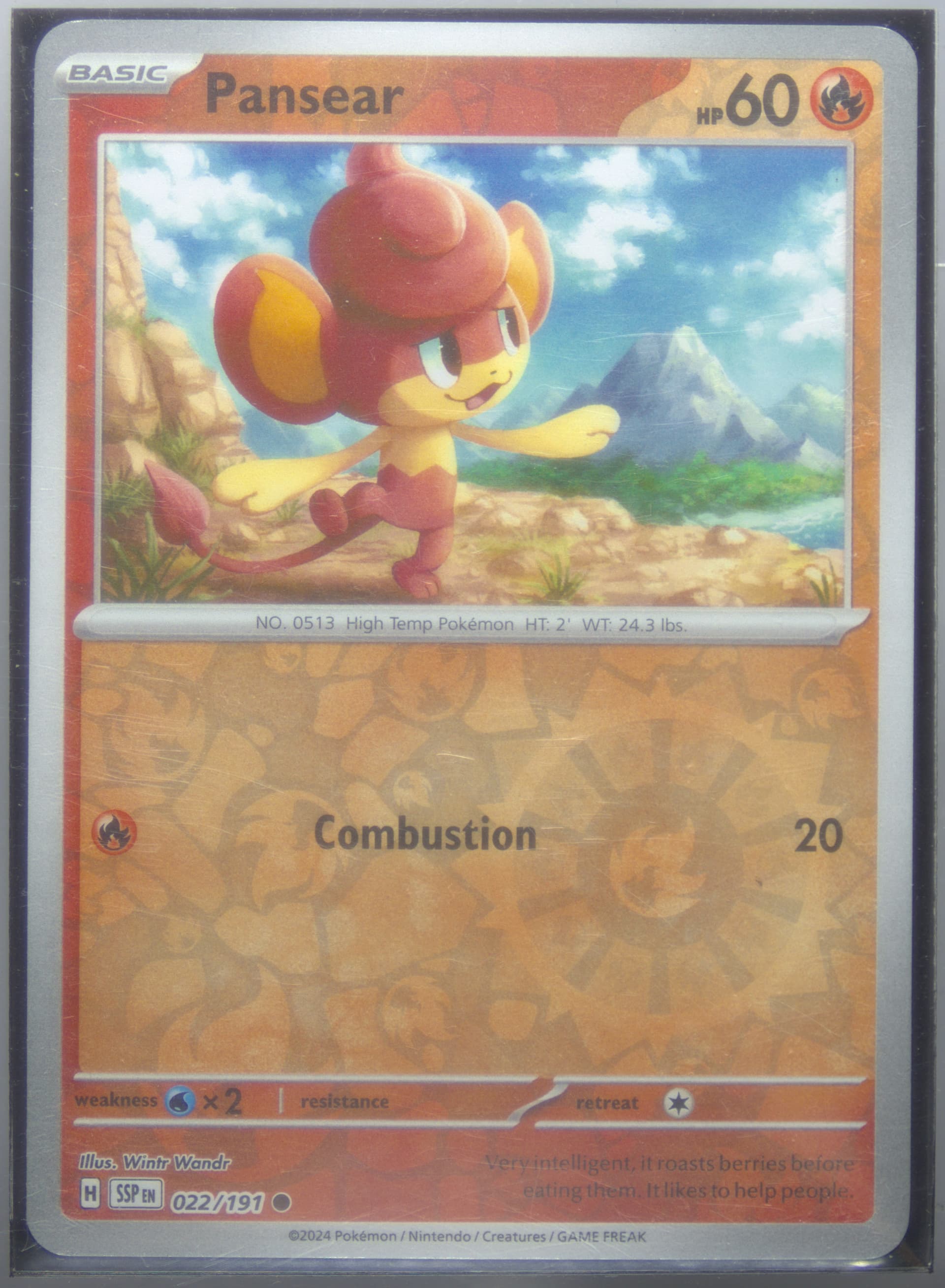 Pansear Reverse Holo (022) 2024 Pokemon Ssp EN-Surging Sparks