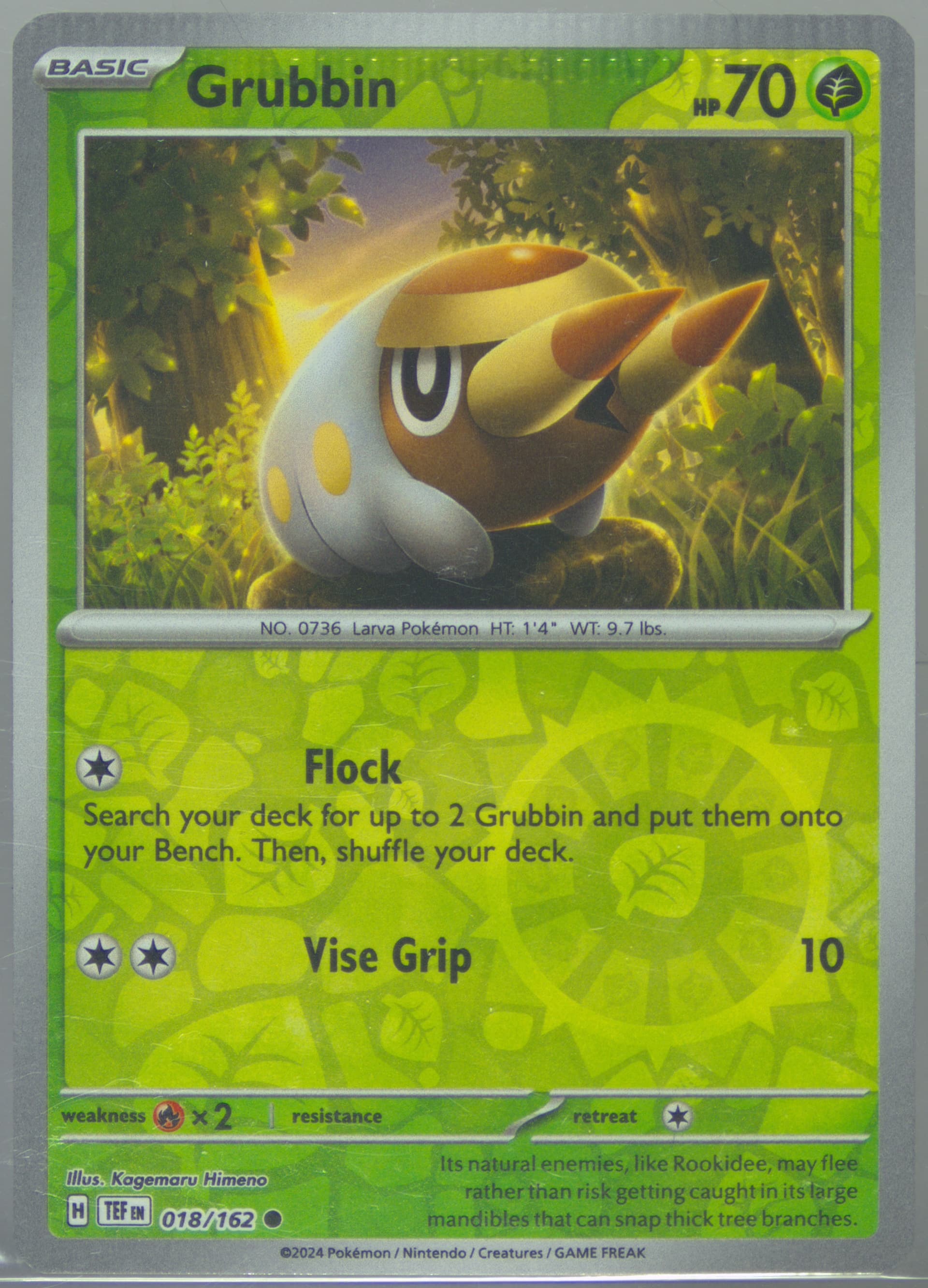 Grubbin Reverse Holo (018) 2024 Pokemon Tef EN-Temporal Forces