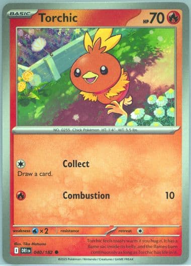 Torchic (040) 2025 Pokemon Dri EN-Destined Rivals