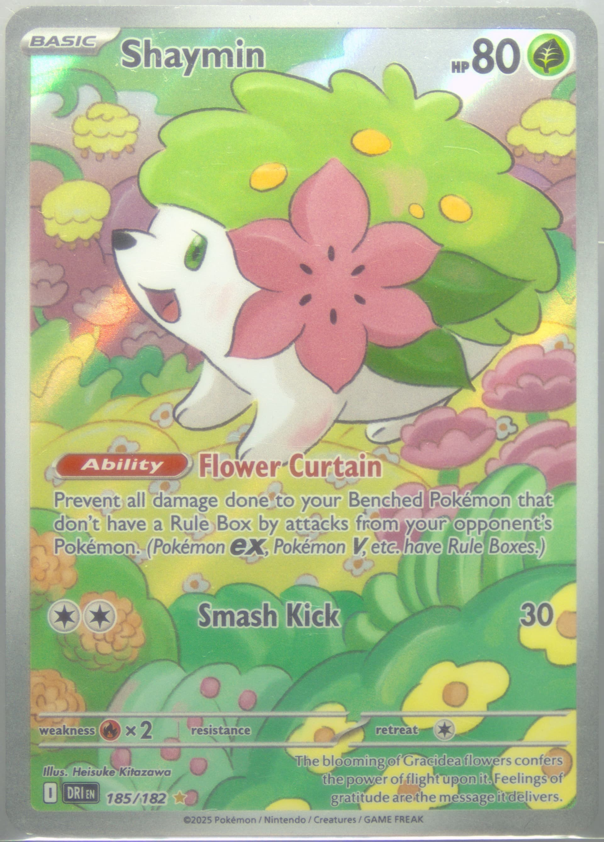 Shaymin Illustration Rare (185) 2025 Pokemon German Dri de-Destined Rivals