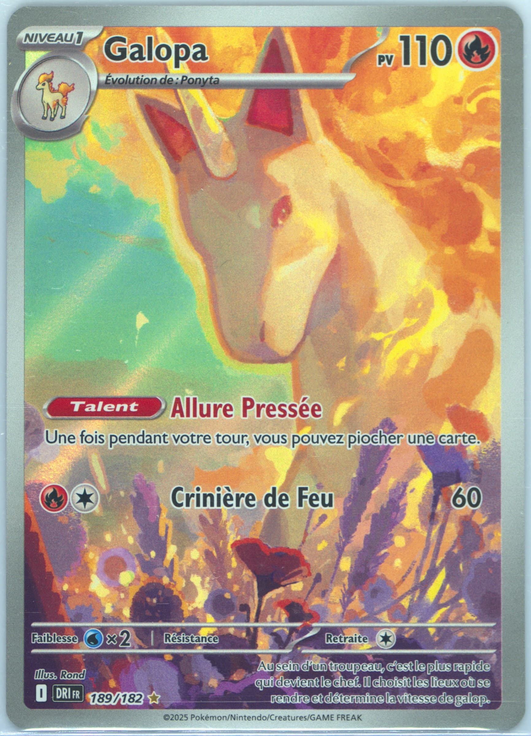 Rapidash Illustration Rare (189) 2025 Pokemon French Dri FR-Destined Rivals