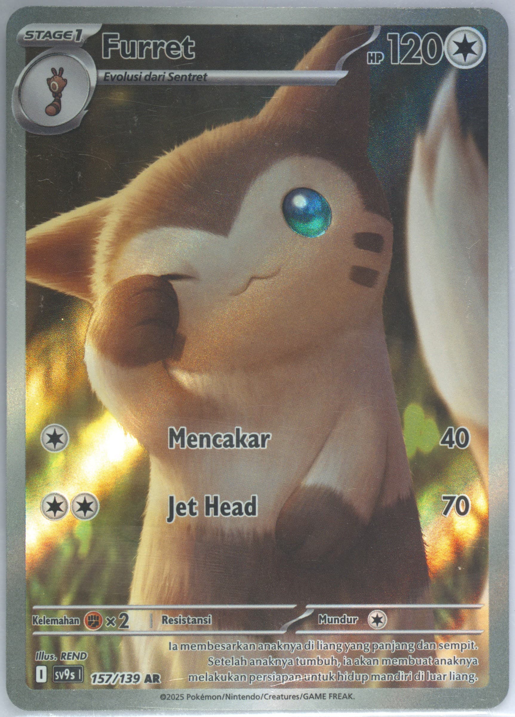 Furret Art Rare (157) 2025 Pokemon Indonesian Sv9s I-Bonds of Destiny