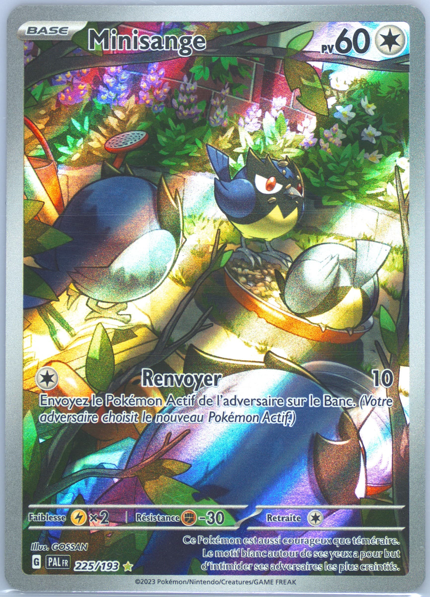 Rookidee Illustration Rare (225) 2023 Pokemon French Pal FR-Paldea Evolved