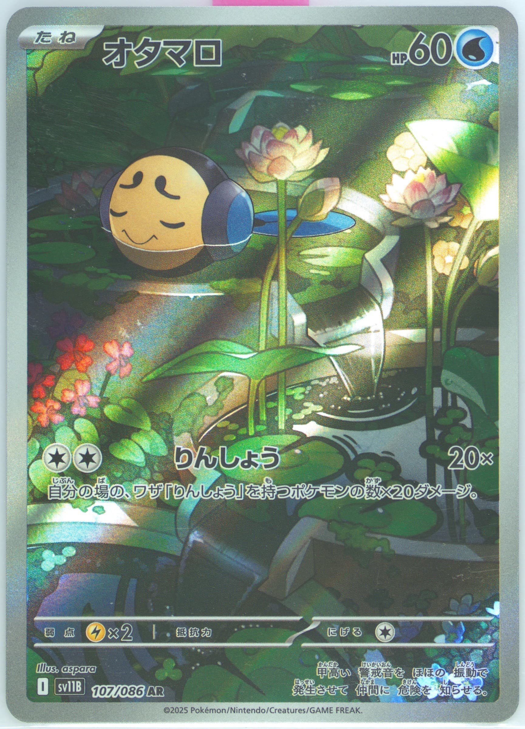 Tympole Art Rare (107) 2025 Pokemon Japanese Sv11b-Black Bolt