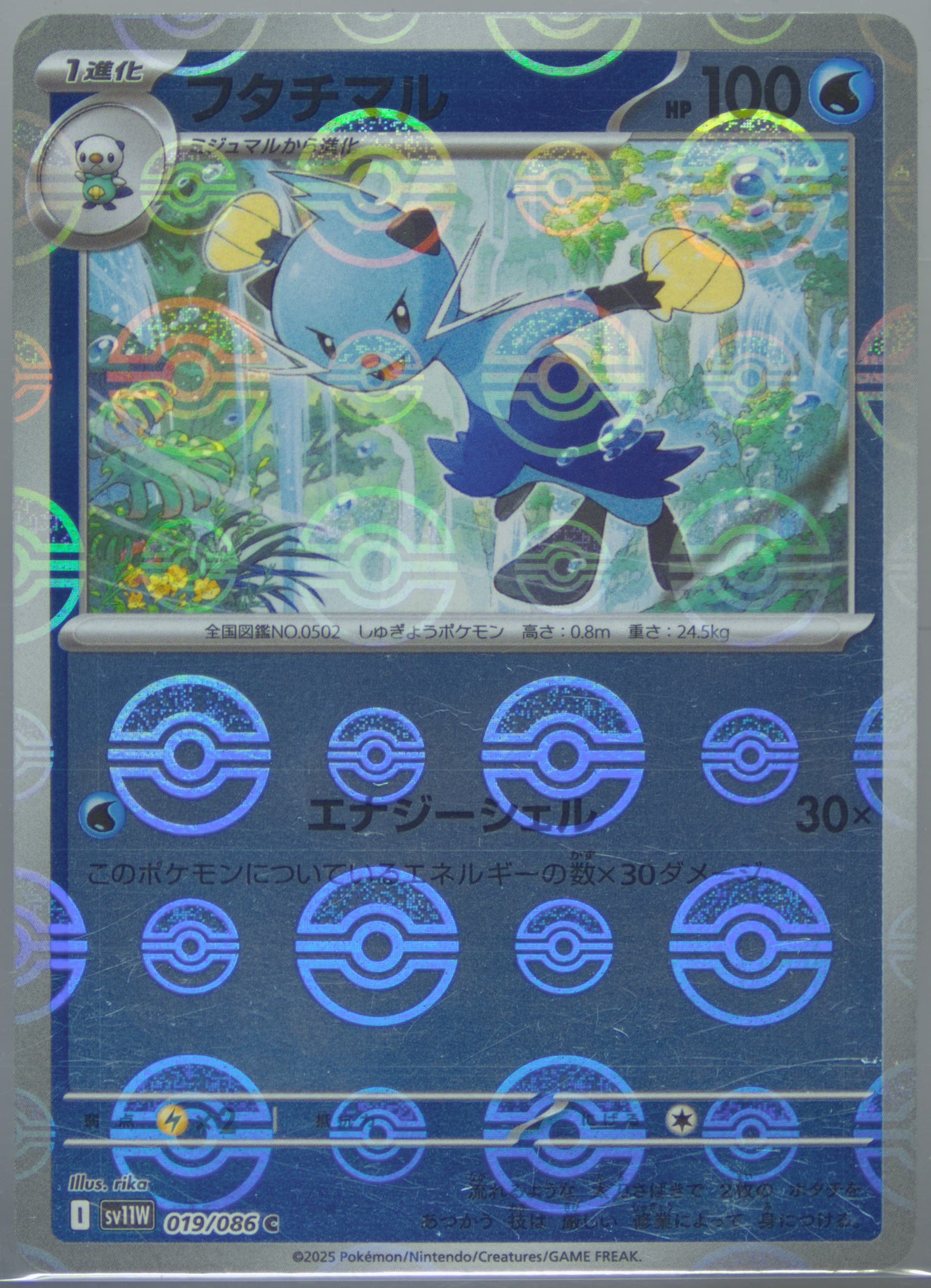 Dewott Reverse Holo (019) 2025 Pokemon Japanese Sv11w-White Flare