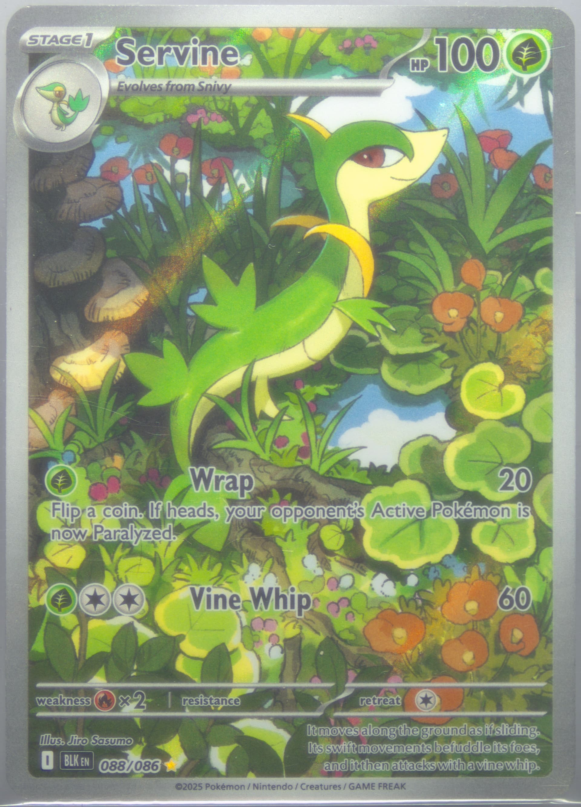 Servine Illustration Rare (088) 2025 Pokemon Blk EN-Black Bolt