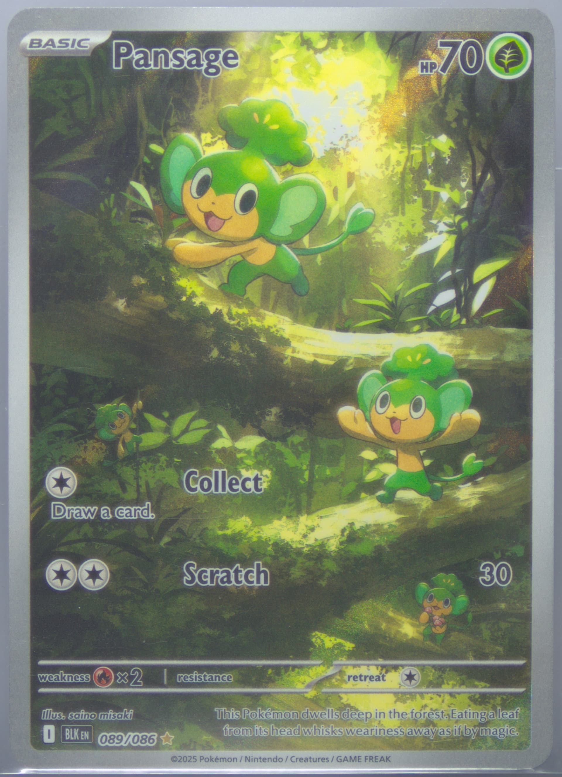 Pansage Illustration Rare (089) 2025 Pokemon Blk EN-Black Bolt