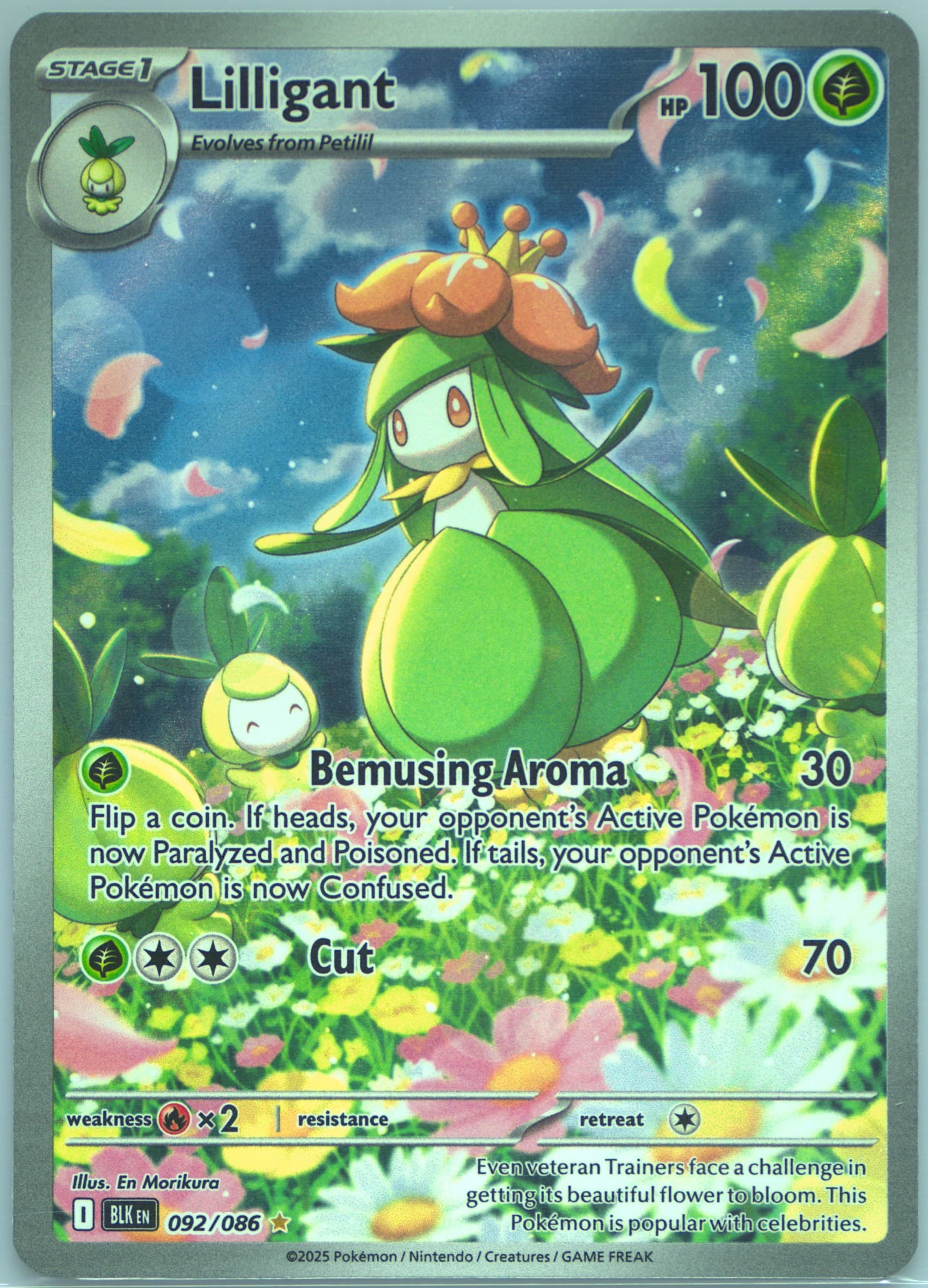 Lilligant Illustration Rare (092) 2025 Pokemon Blk EN-Black Bolt