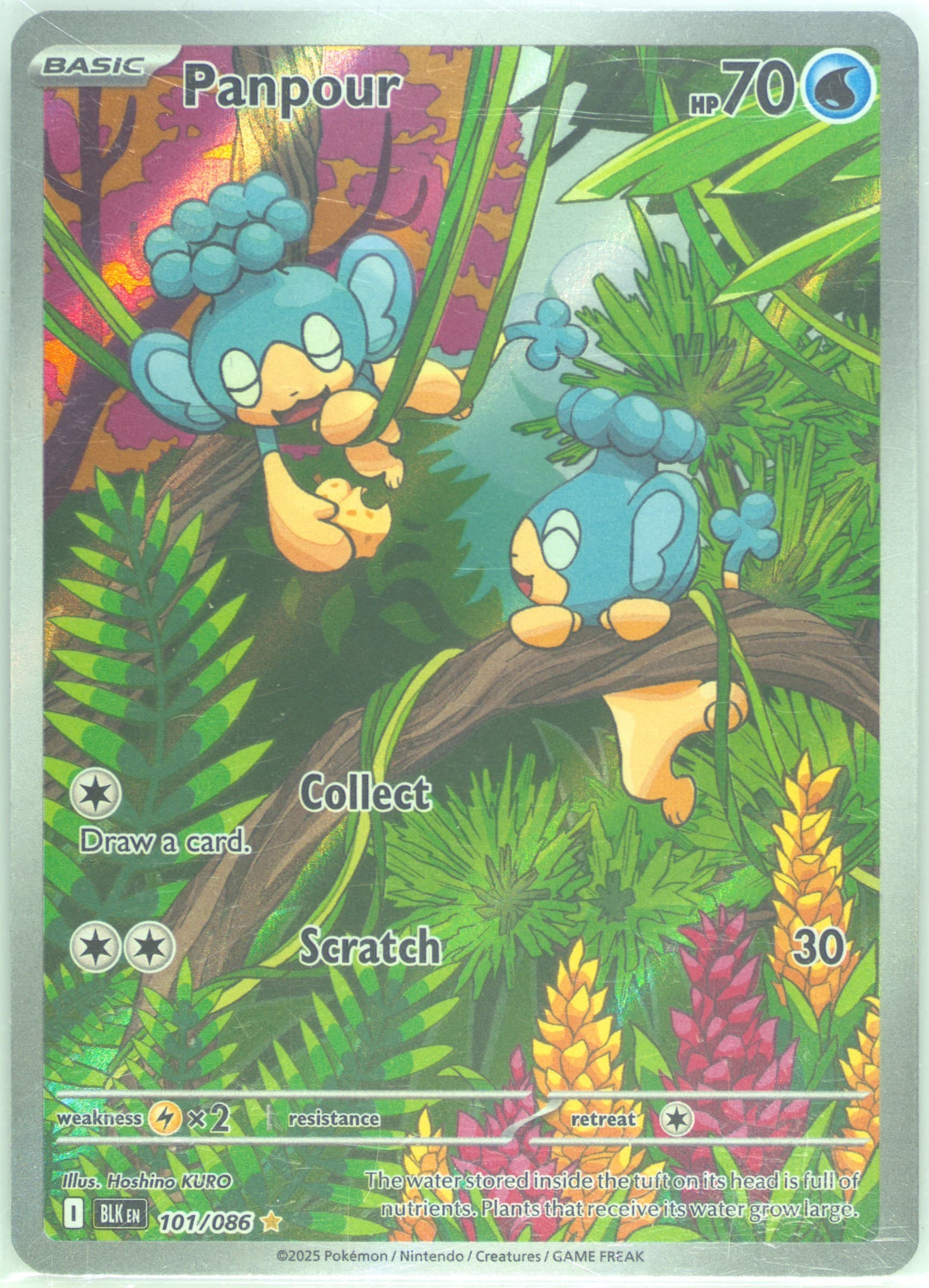 Panpour Illustration Rare (101) 2025 Pokemon Blk EN-Black Bolt