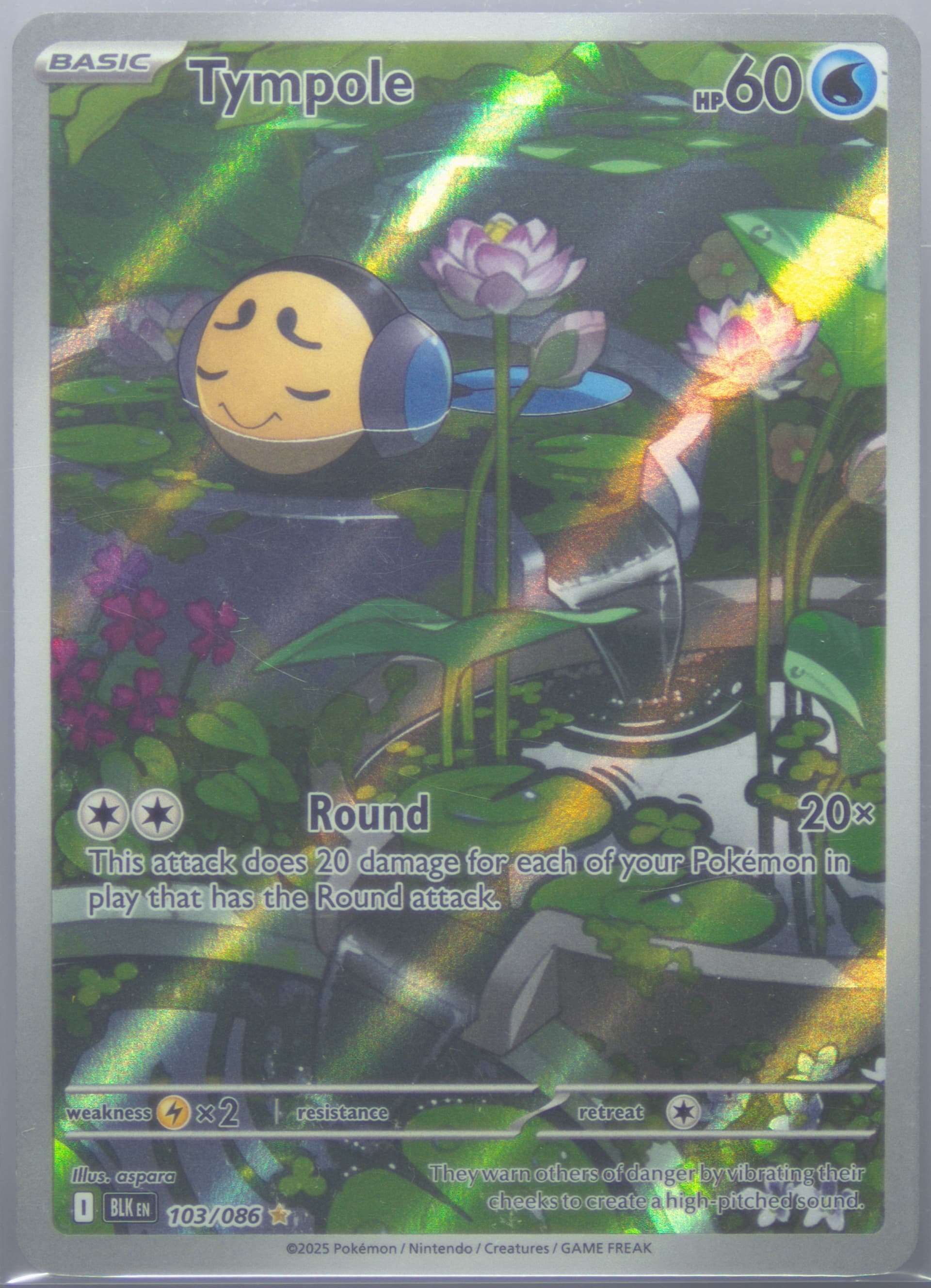 Tympole Illustration Rare (103) 2025 Pokemon Blk EN-Black Bolt