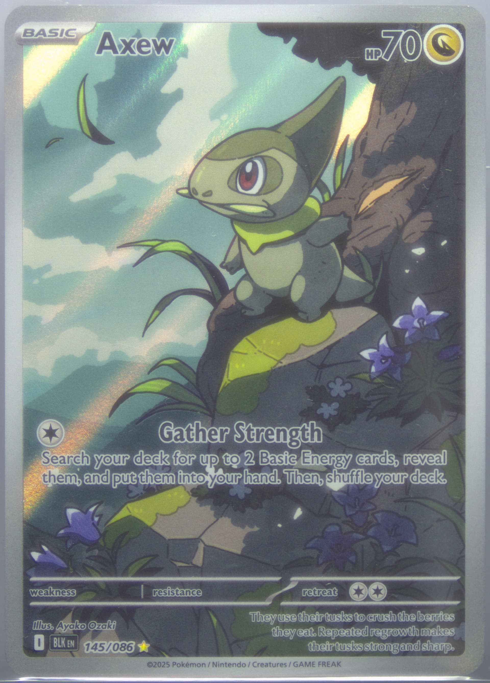 Axew Illustration Rare (145) 2025 Pokemon Blk EN-Black Bolt