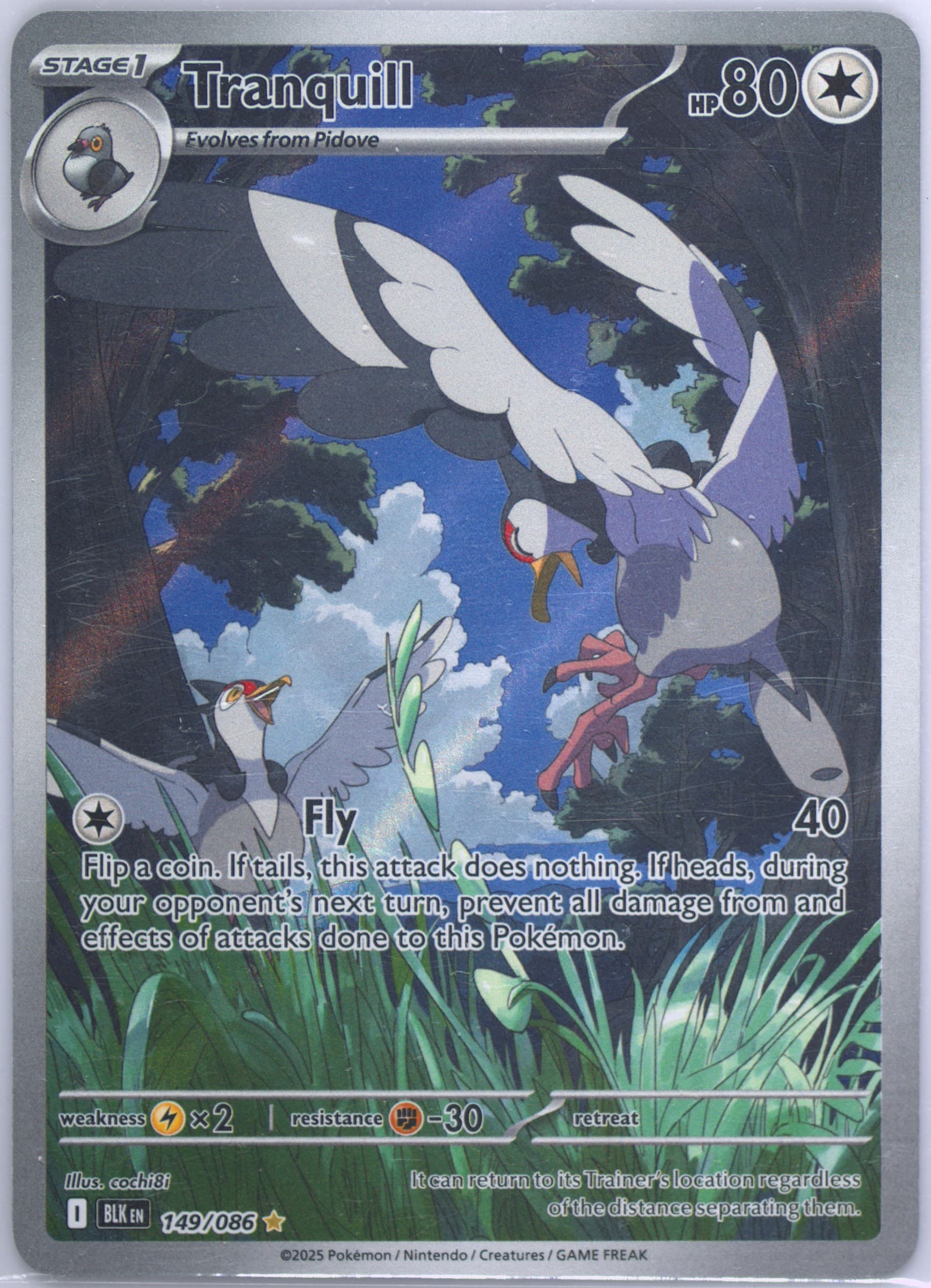 Tranquill Illustration Rare (149) 2025 Pokemon Blk EN-Black Bolt
