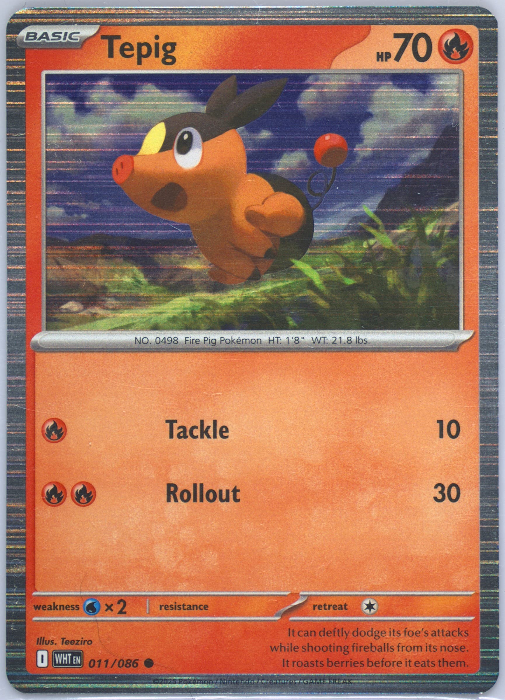 Tepig (011) 2025 Pokemon Wht EN-White Flare