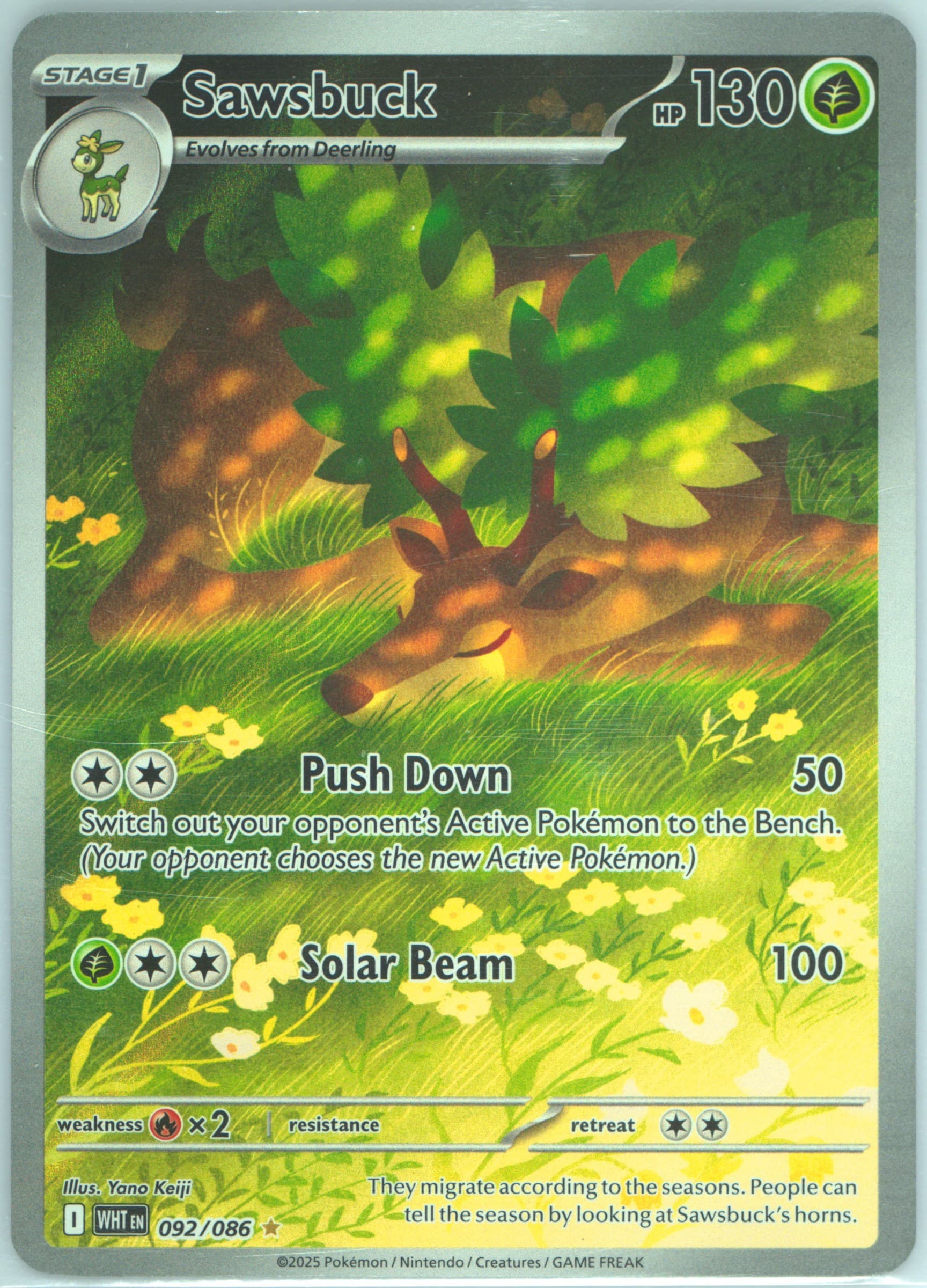Sawsbuck Illustration Rare (092) 2025 Pokemon Wht EN-White Flare