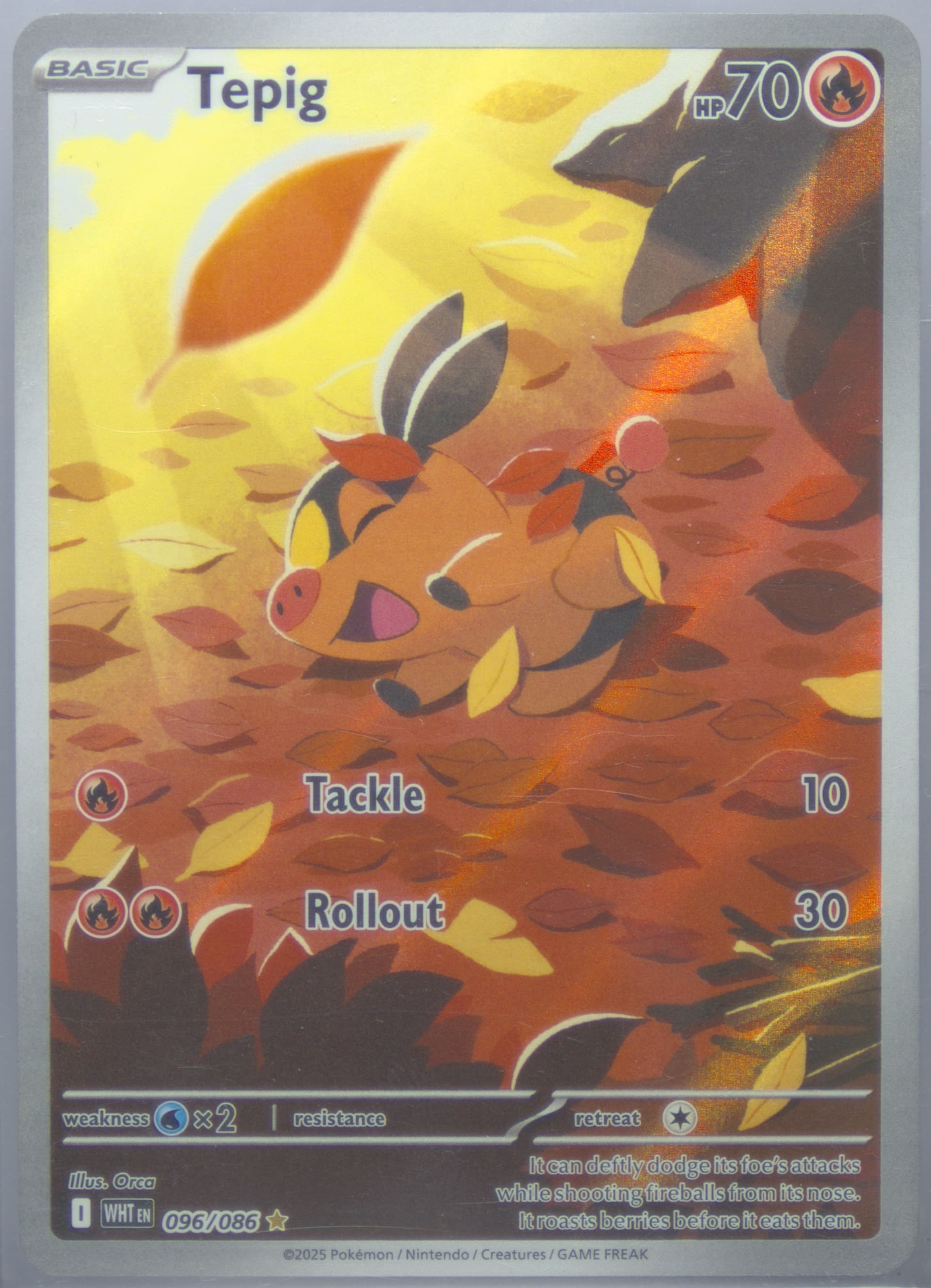 Tepig Illustration Rare (096) 2025 Pokemon Wht EN-White Flare