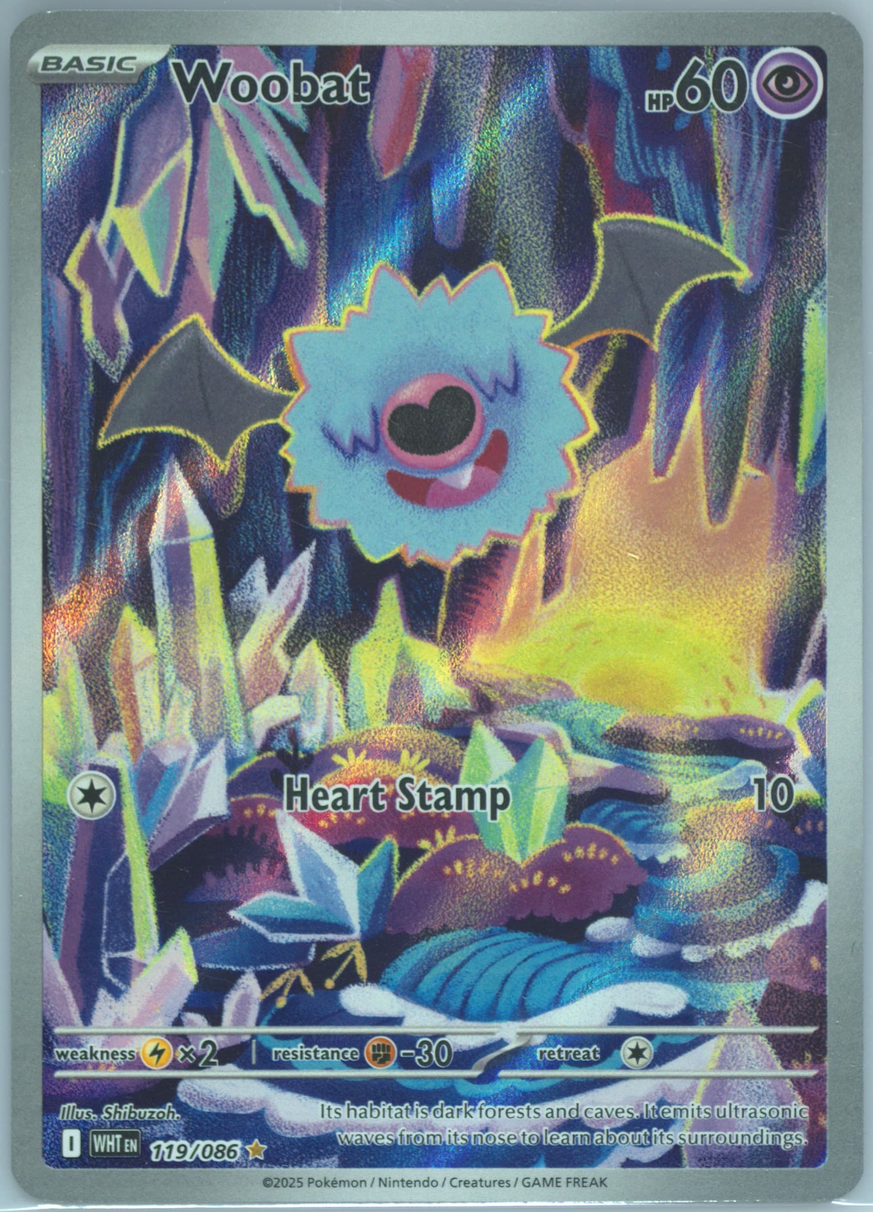 Woobat Illustration Rare (119) 2025 Pokemon Wht EN-White Flare