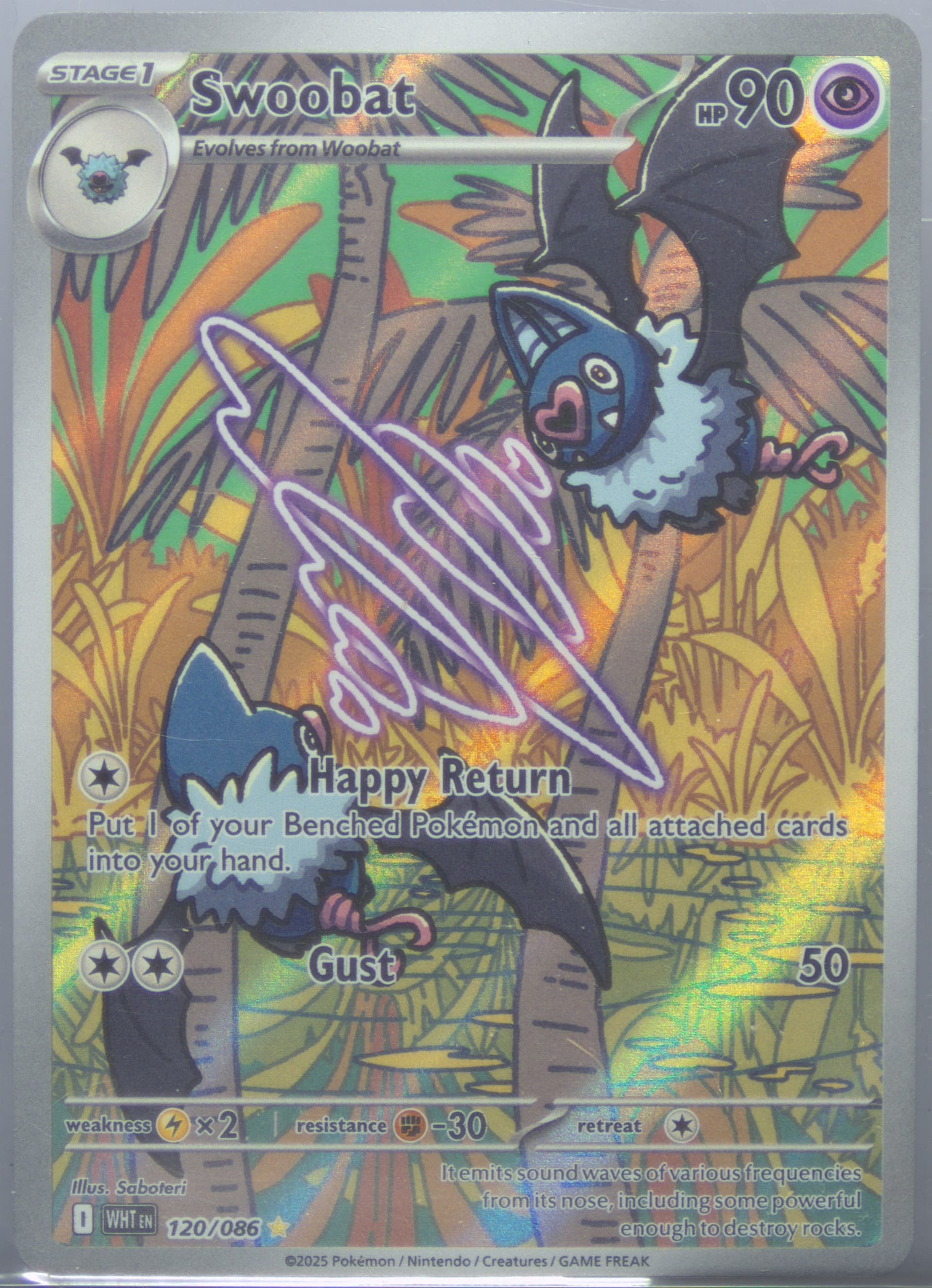 Swoobat Illustration Rare (120) 2025 Pokemon Wht EN-White Flare