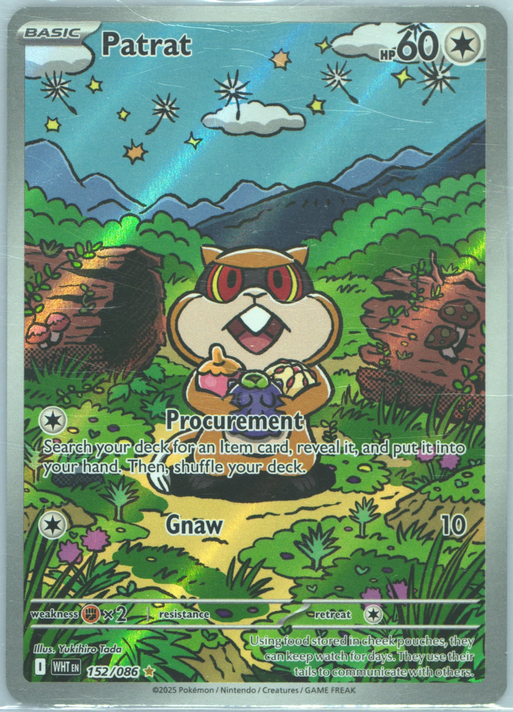 Patrat Illustration Rare (152) 2025 Pokemon Wht EN-White Flare