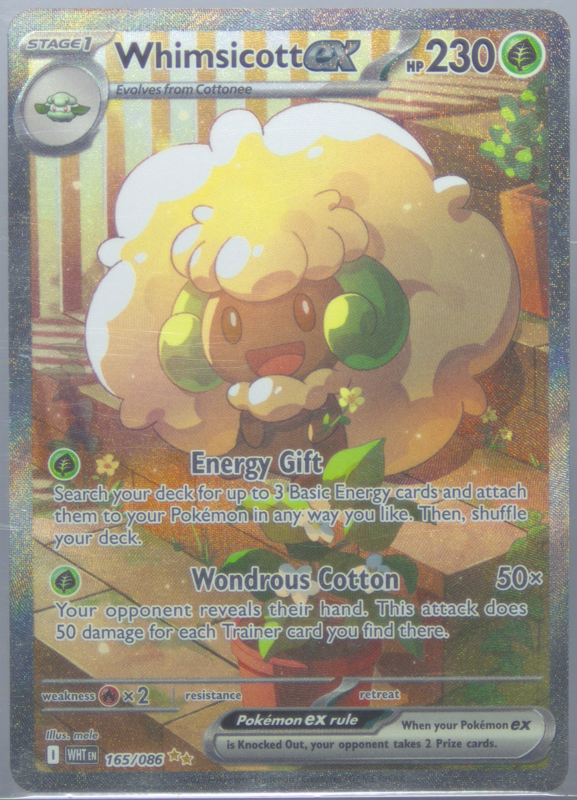 Whimsicott EX Special Illustration Rare (165) 2025 Pokemon Wht EN-White Flare