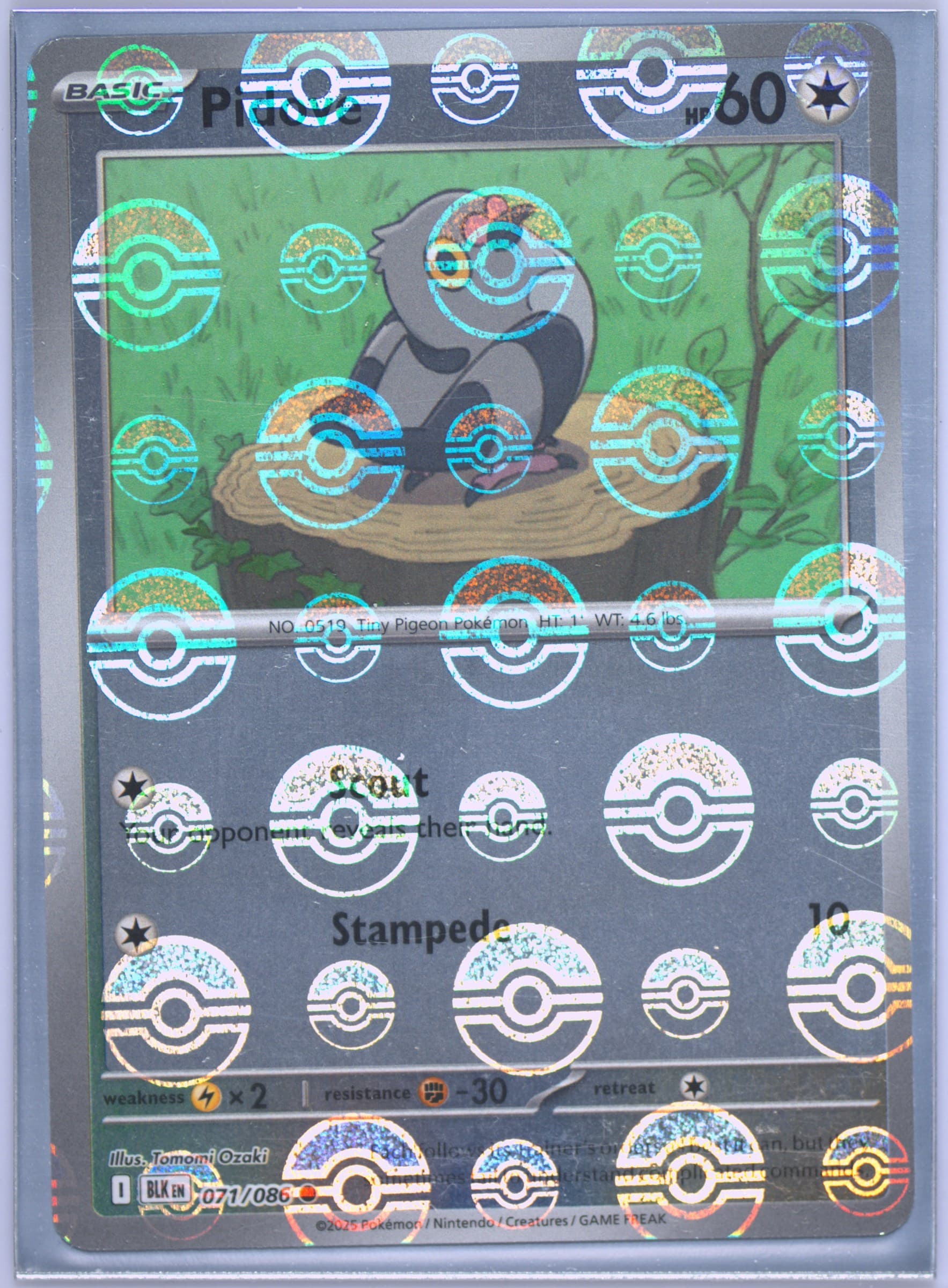 Pidove Poke Ball Reverse Holo (071) 2025 Pokemon Blk EN-Black Bolt