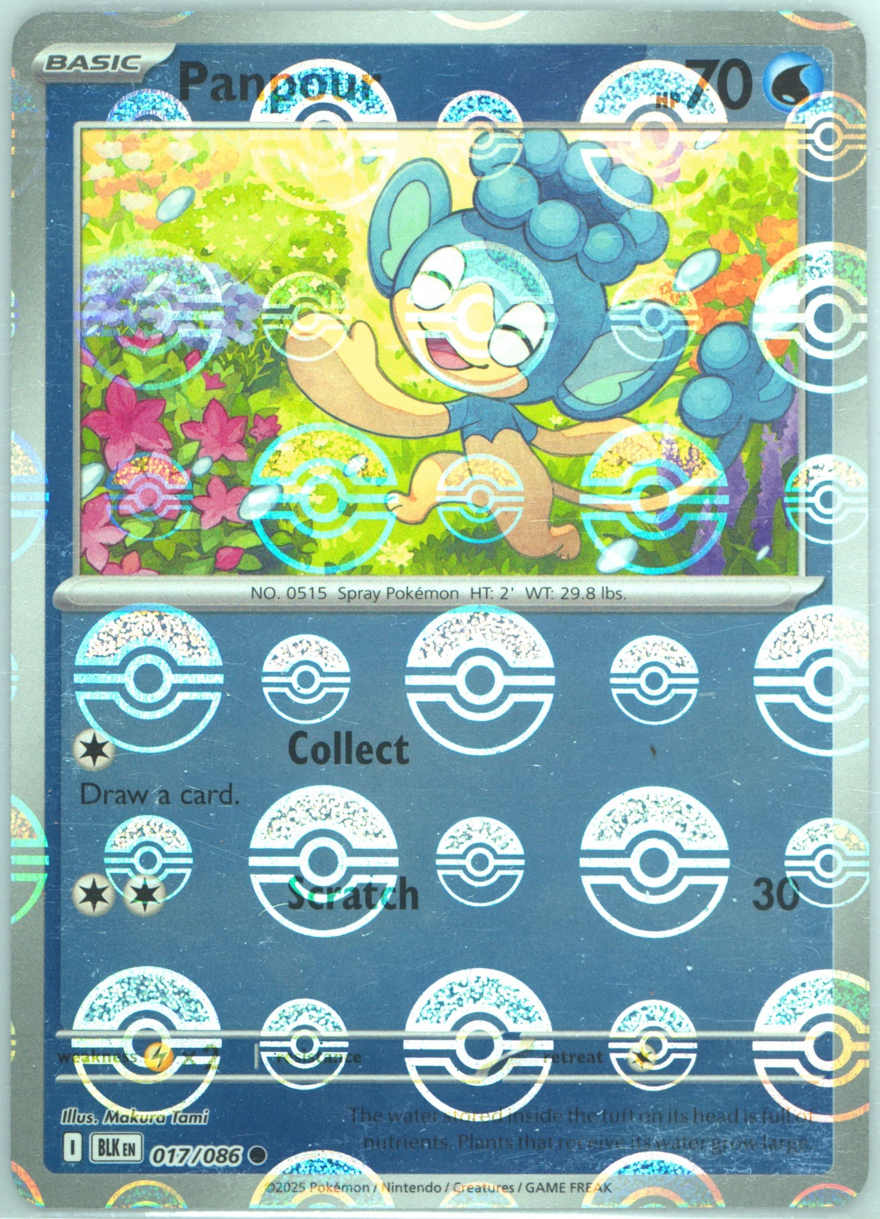 Panpour Poke Ball Reverse Holo (017) 2025 Pokemon Blk EN-Black Bolt