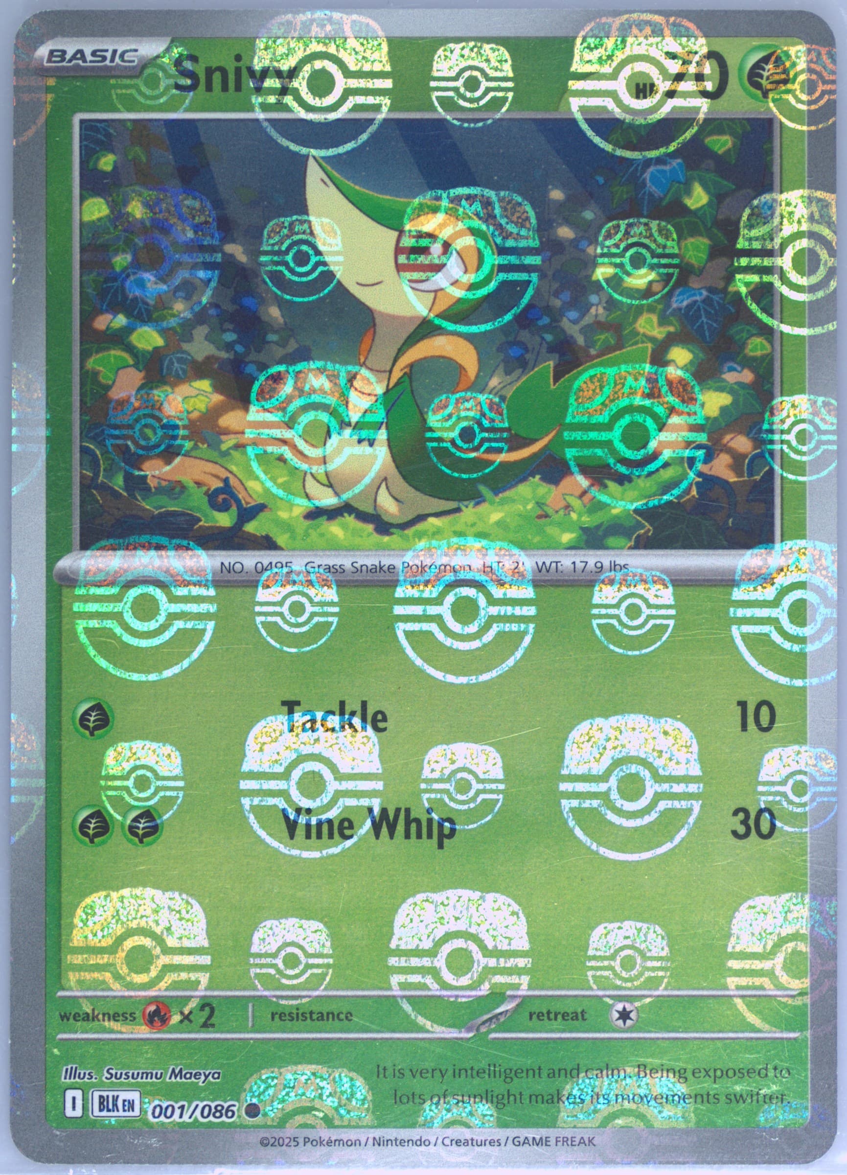 Snivy Master Ball Reverse Holo (001) 2025 Pokemon Blk EN-Black Bolt