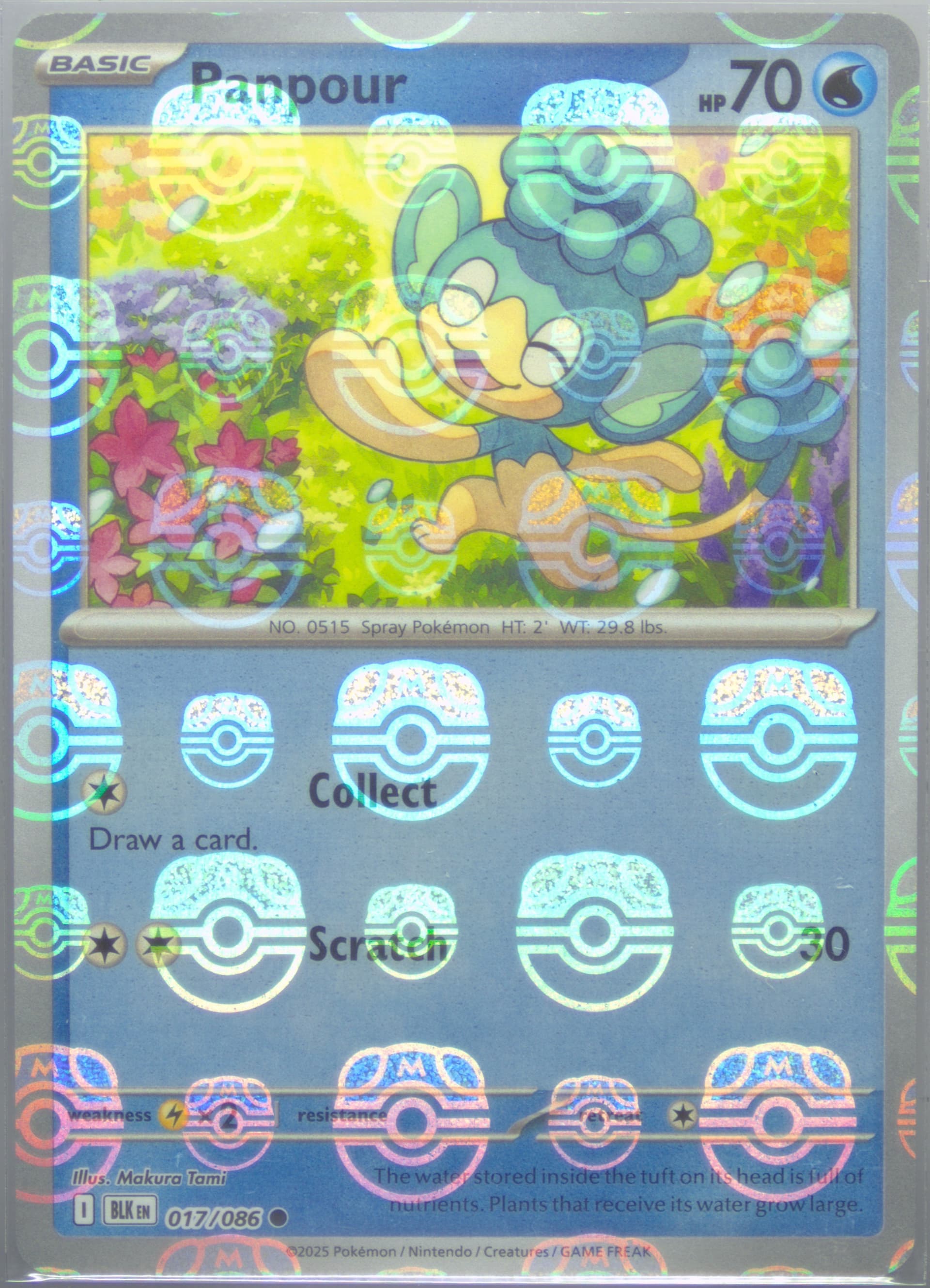 Panpour Master Ball Reverse Holo (017) 2025 Pokemon Blk EN-Black Bolt