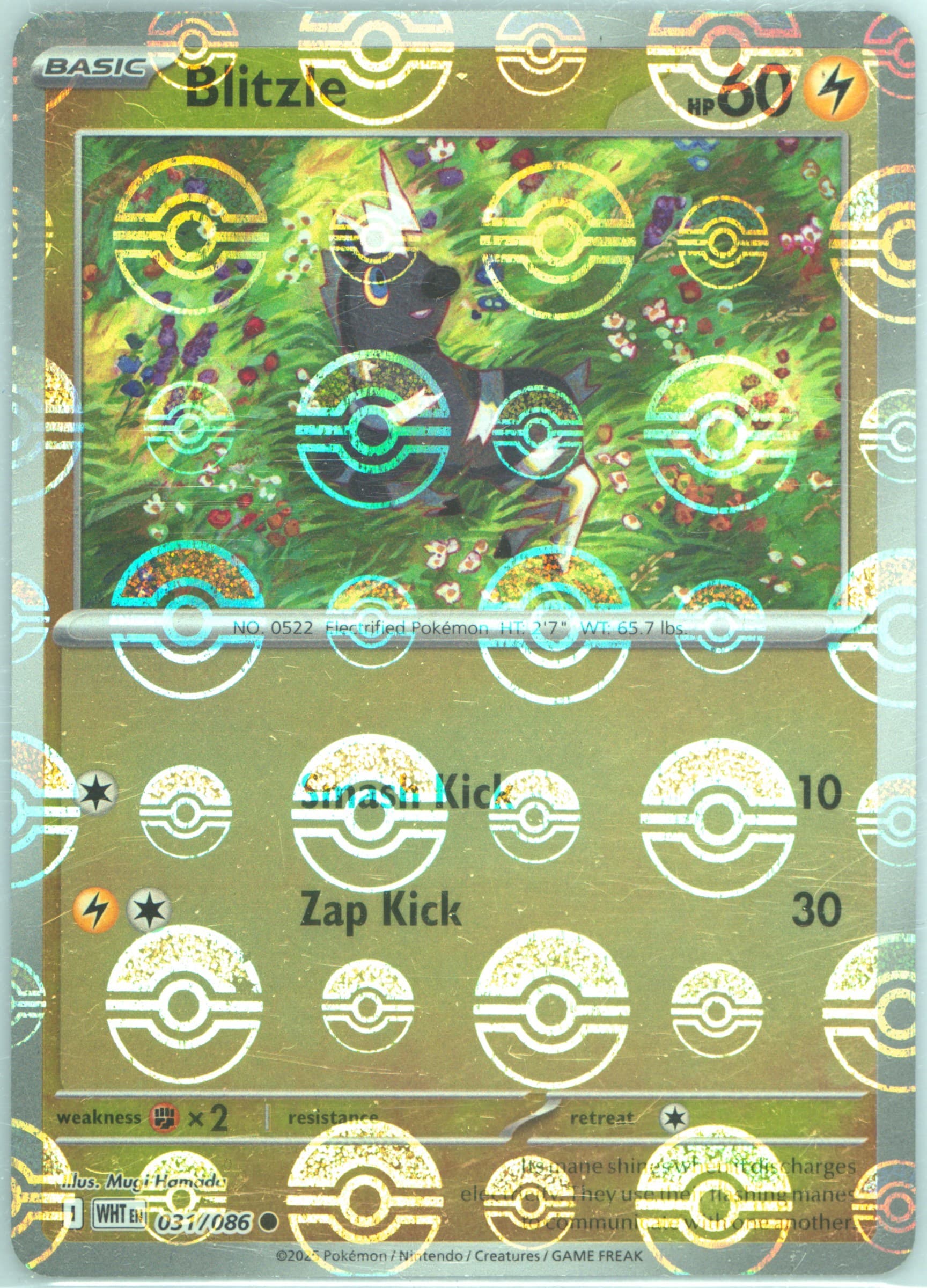 Blitzle Poke Ball Reverse Holo (031) 2025 Pokemon Wht EN-White Flare