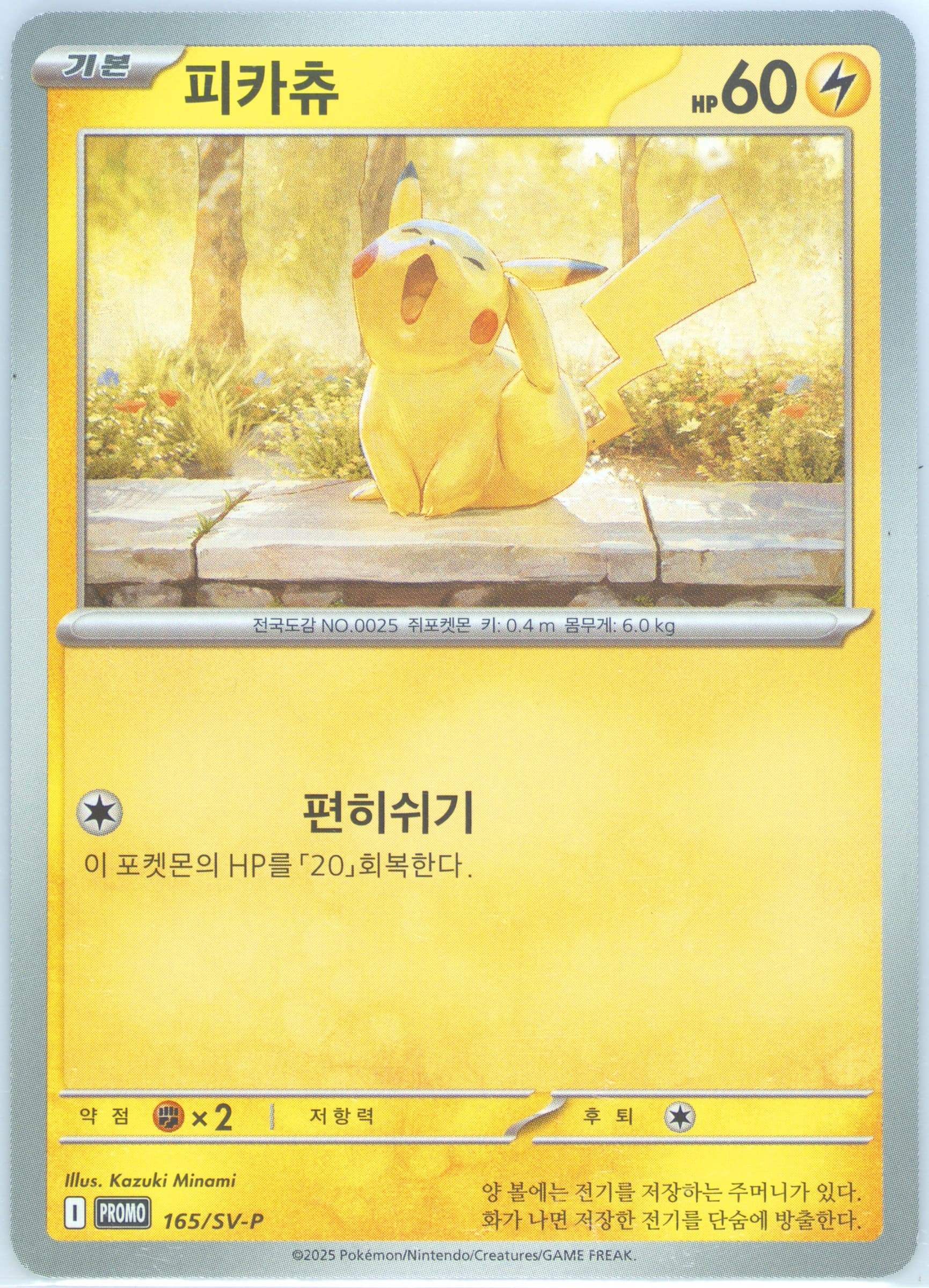 Pikachu Illustration Contest 2024 (165) 2025 Pokemon Korean SV-P Promo