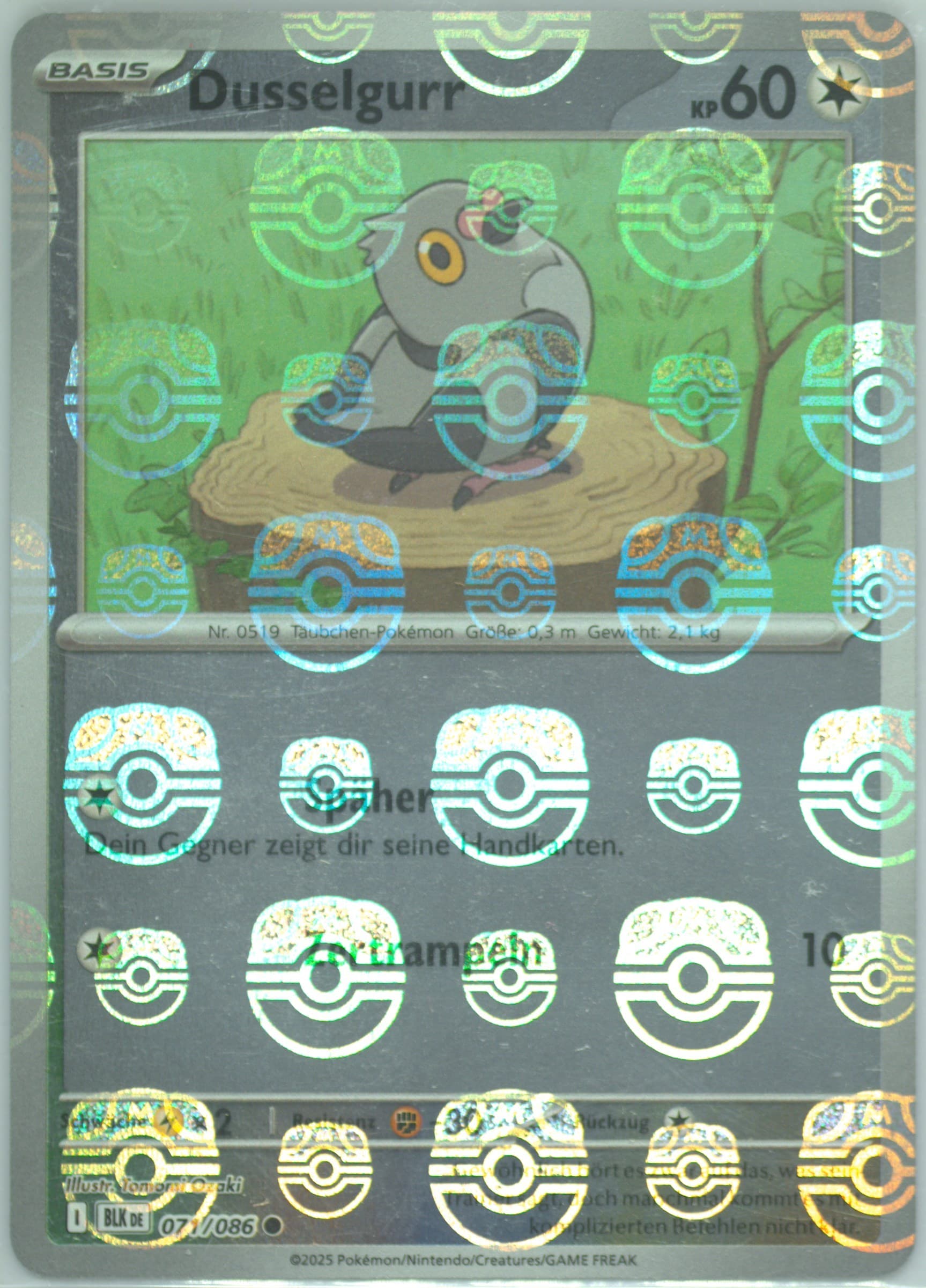 Pidove Master Ball Reverse Holo (071) 2025 Pokemon German Blk de-Black Bolt