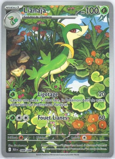 Servine Illustration Rare (088) 2025 Pokemon French Blk FR-Black Bolt