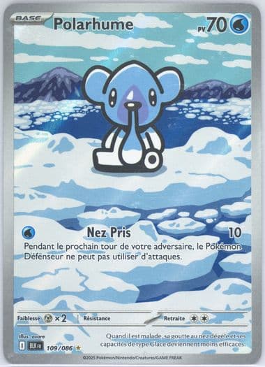 Cubchoo Illustration Rare (109) 2025 Pokemon French Blk FR-Black Bolt