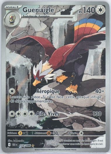 Braviary Illustration Rare (155) 2025 Pokemon French Blk FR-Black Bolt