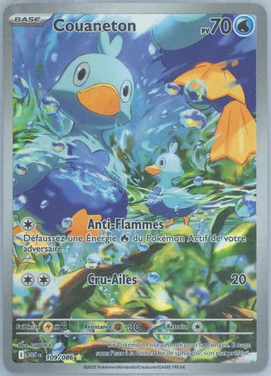 Ducklett Illustration Rare (109) 2025 Pokemon French Wht FR-White Flare